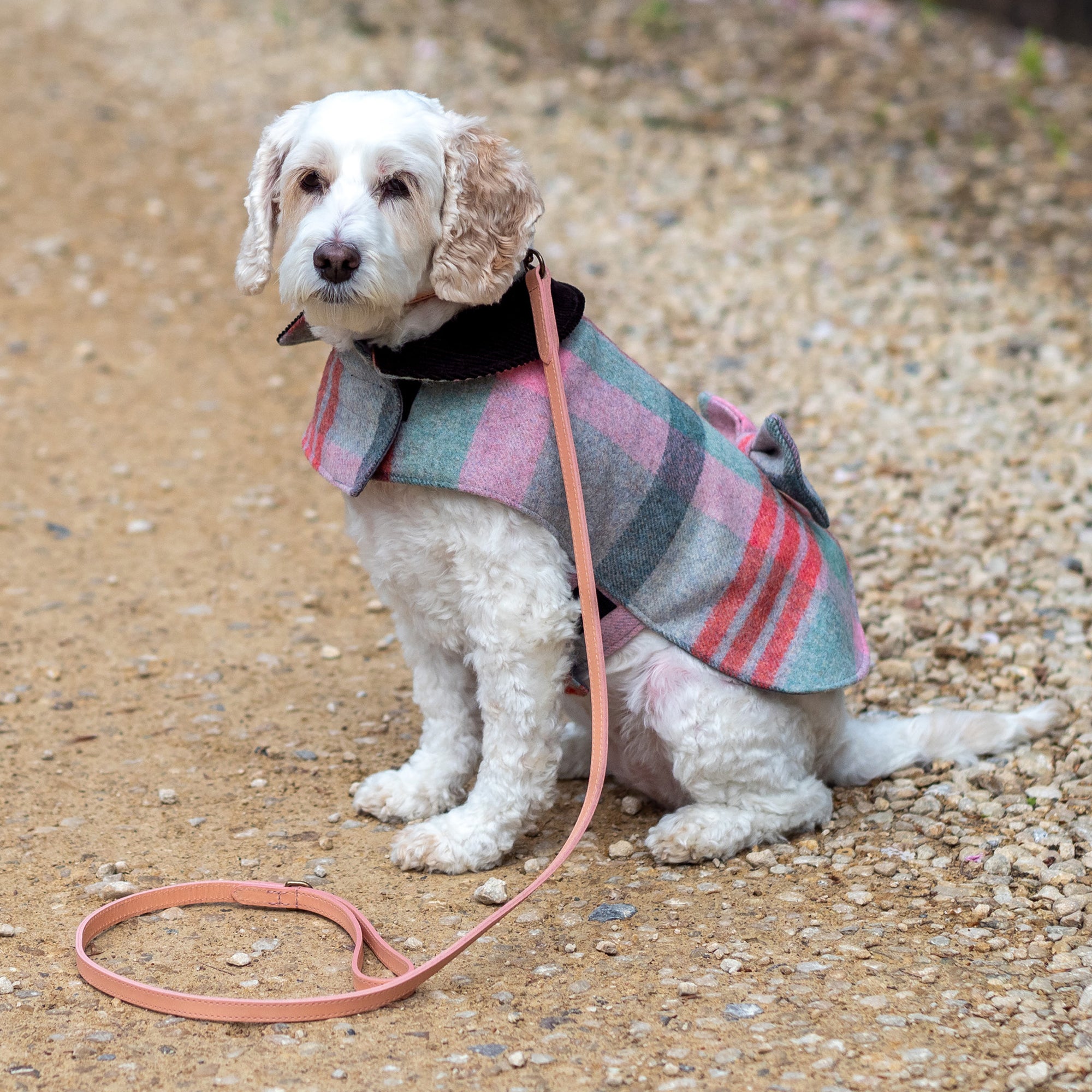 Macaroon Check Tweed Dog Coat