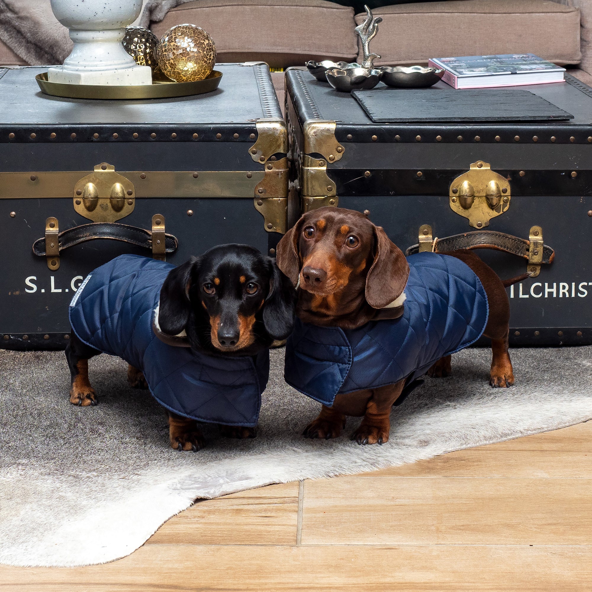 Navy Quilted Dog Coat