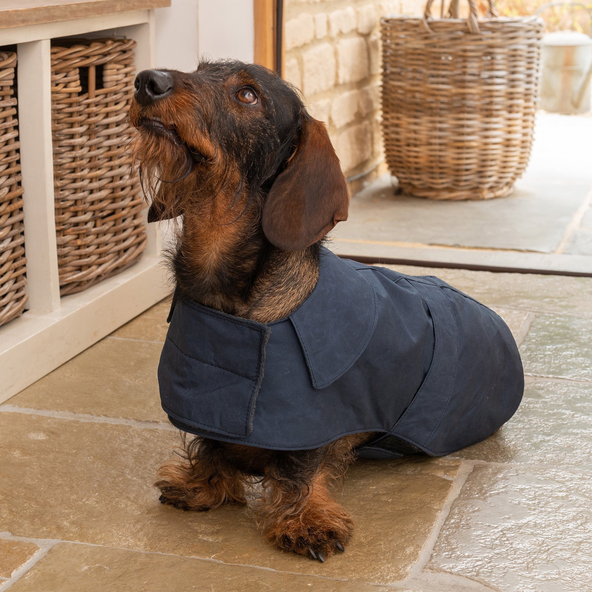 Navy Waxed Waterproof Dog Coat