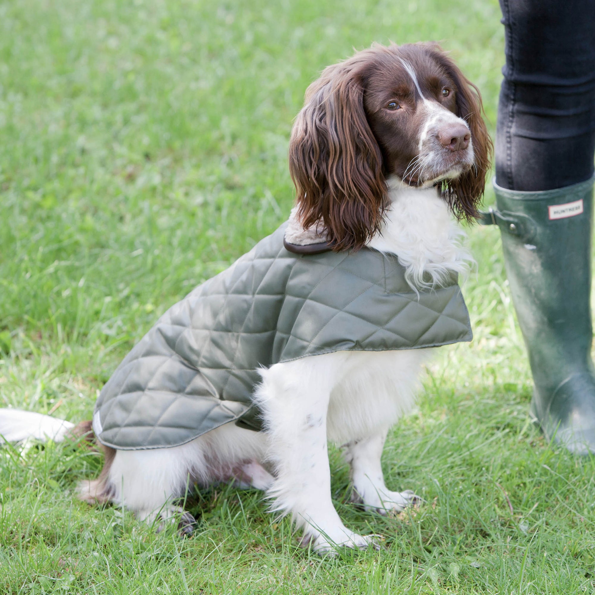Olive Quilted Dog Coat