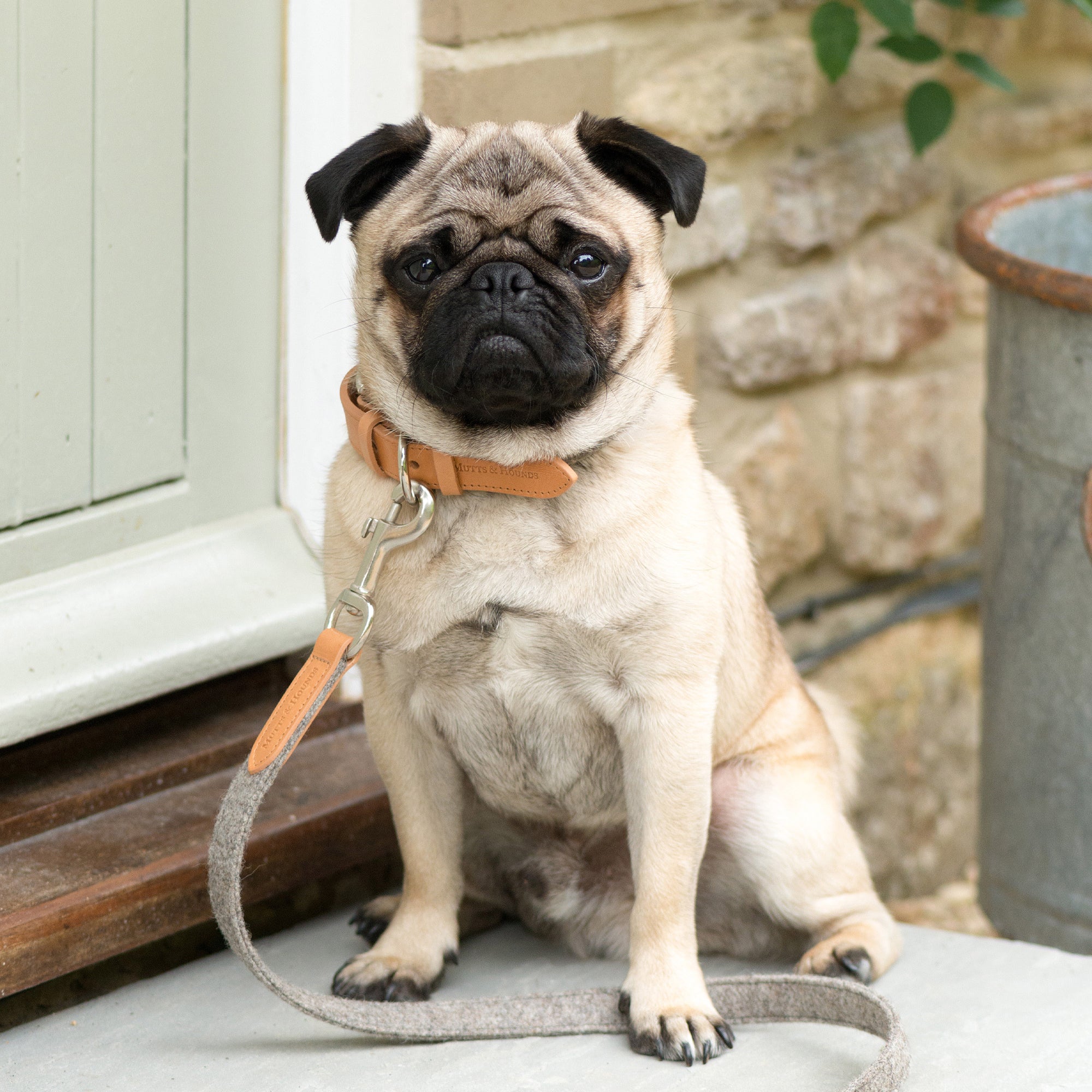 Camello Leather & Grey Tweed Dog Collar