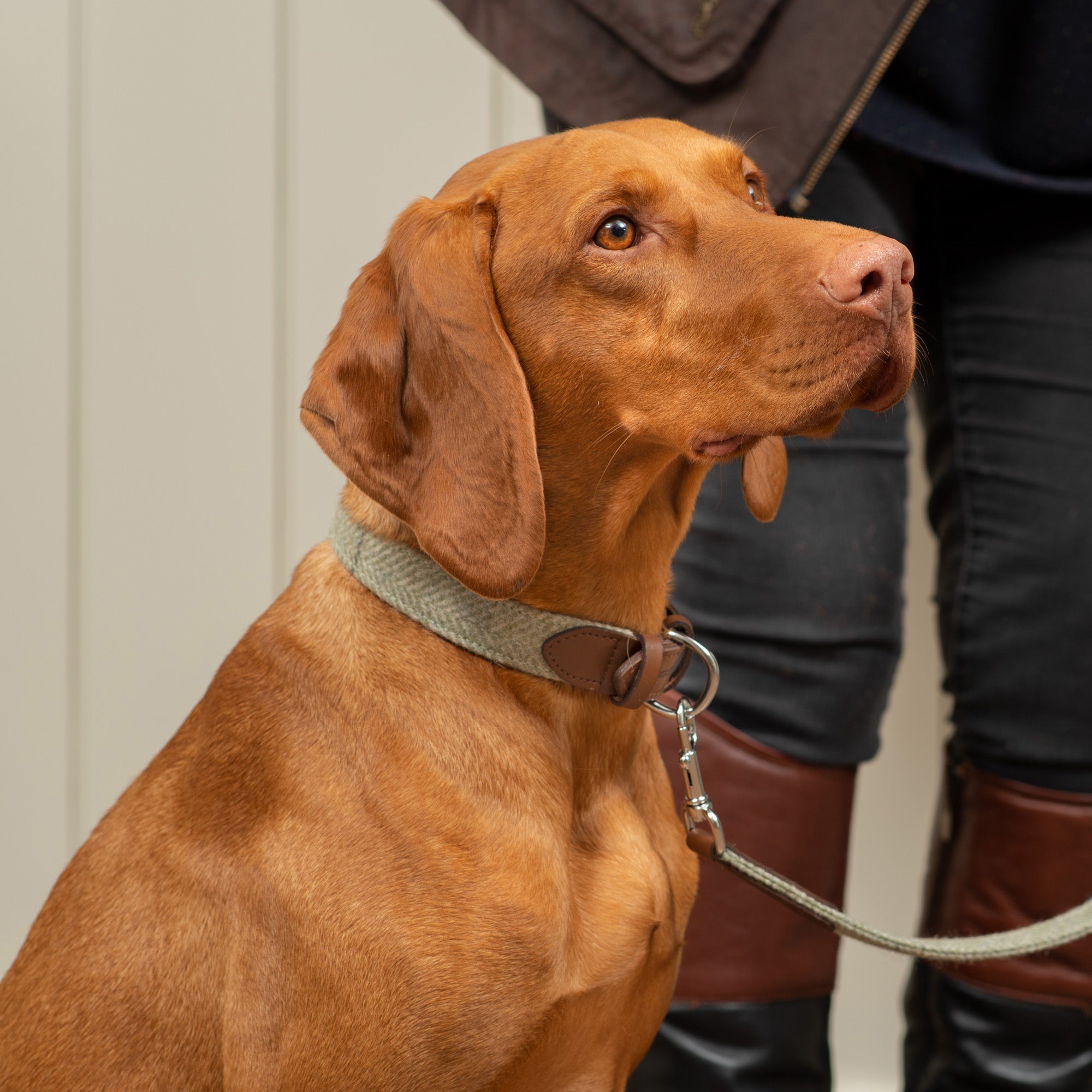 Willow Check Tweed & Leather Dog Collar