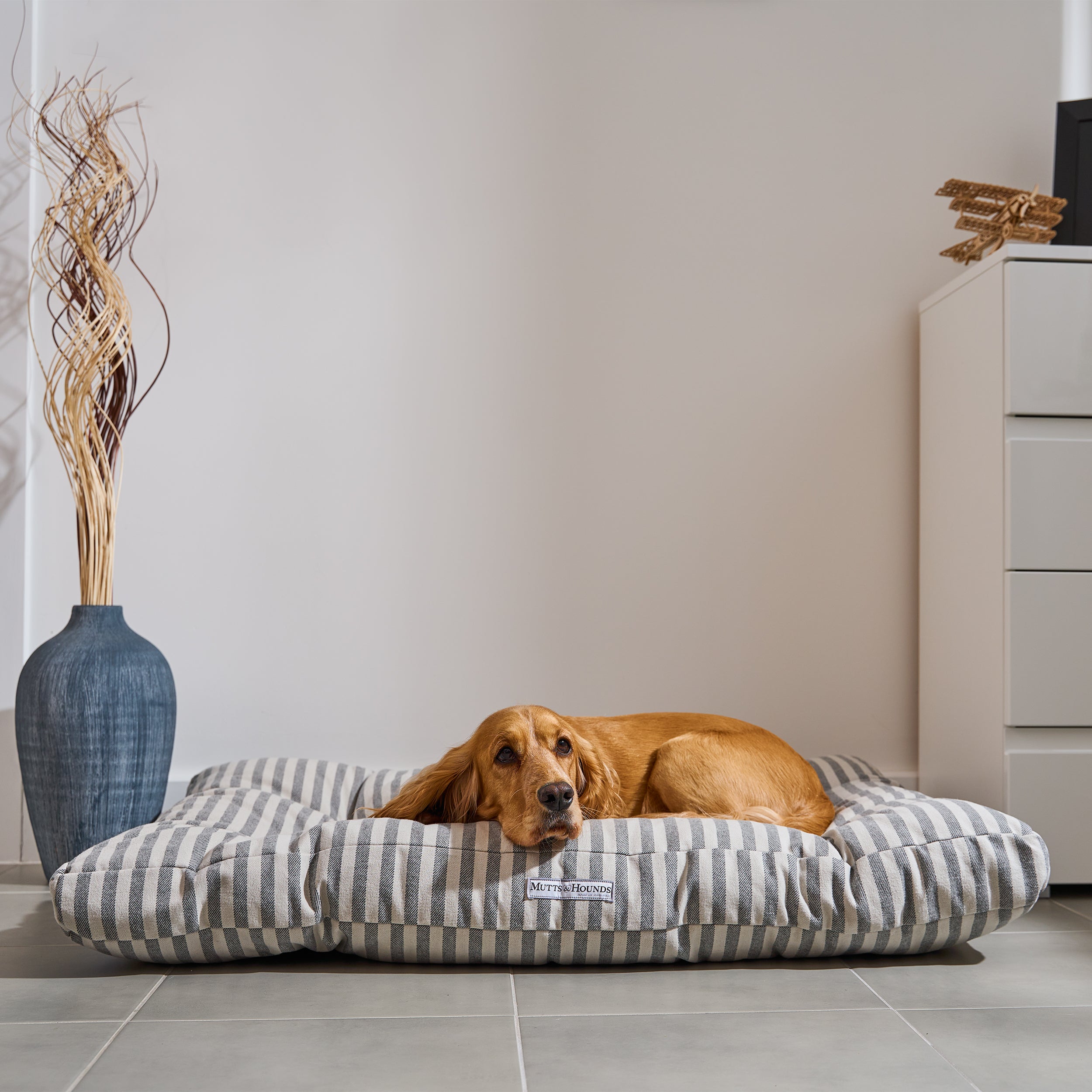 Flint Stripe Brushed Cotton Cushion Dog Bed