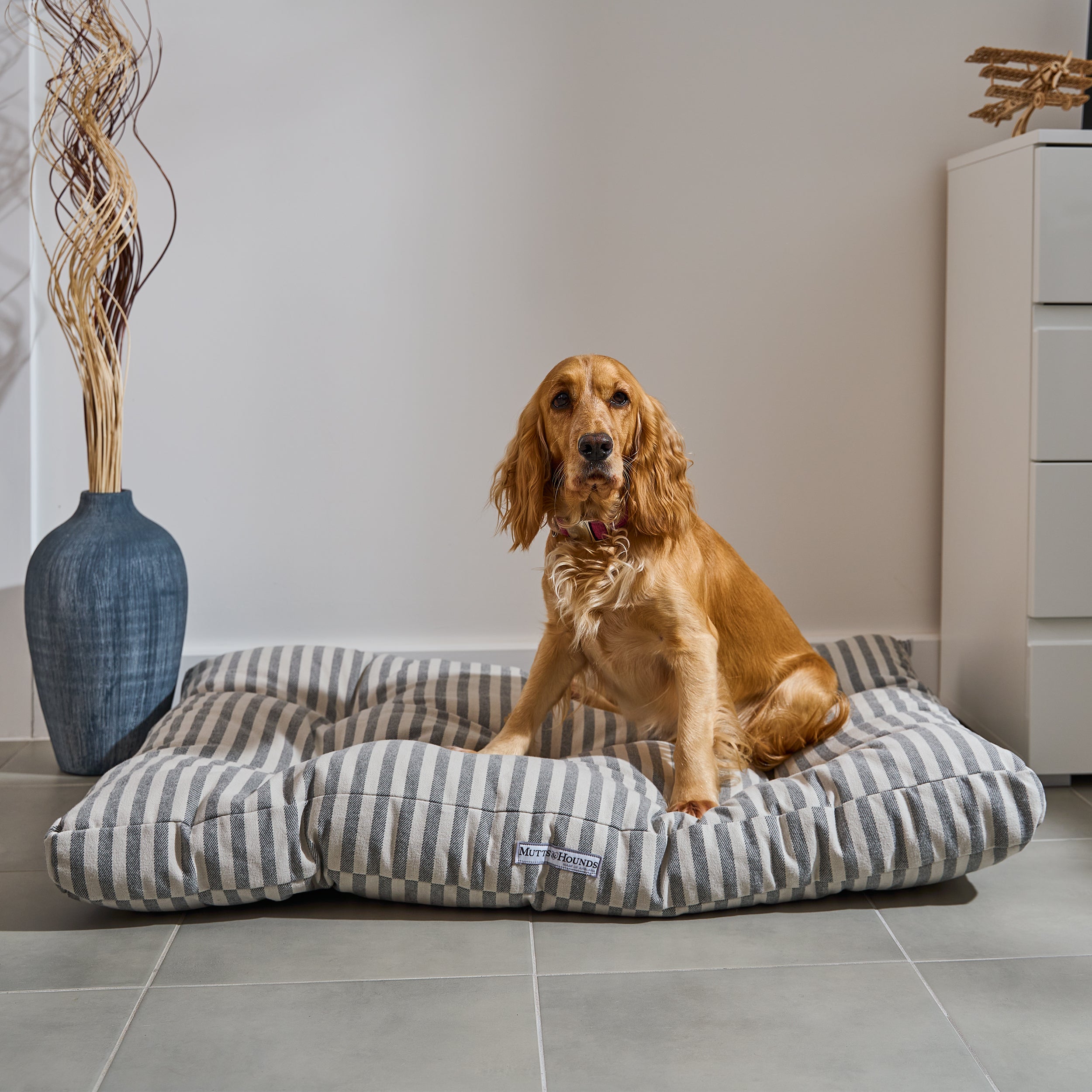 Flint Stripe Brushed Cotton Cushion Dog Bed