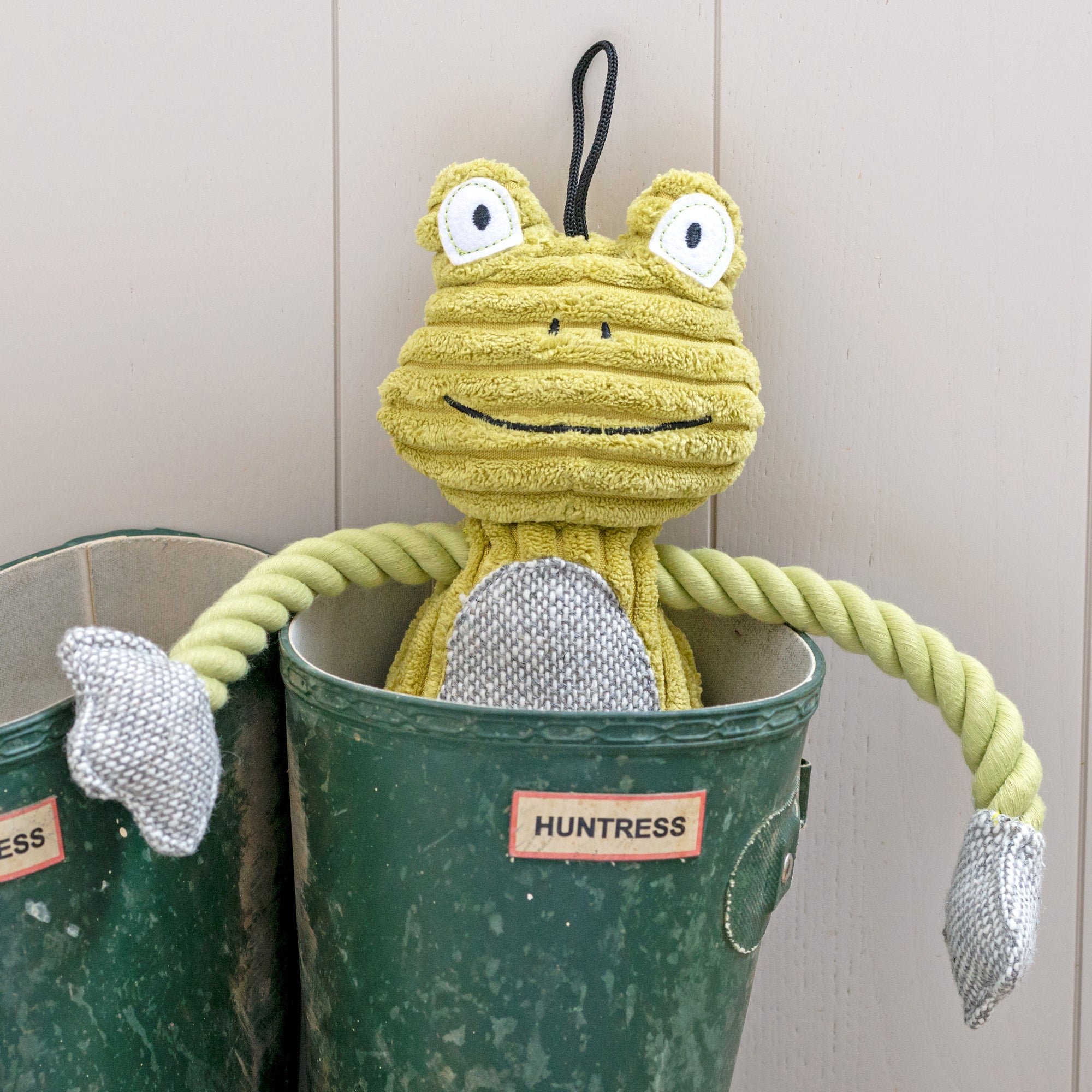 Fredrik Frog Plush Dog Toy