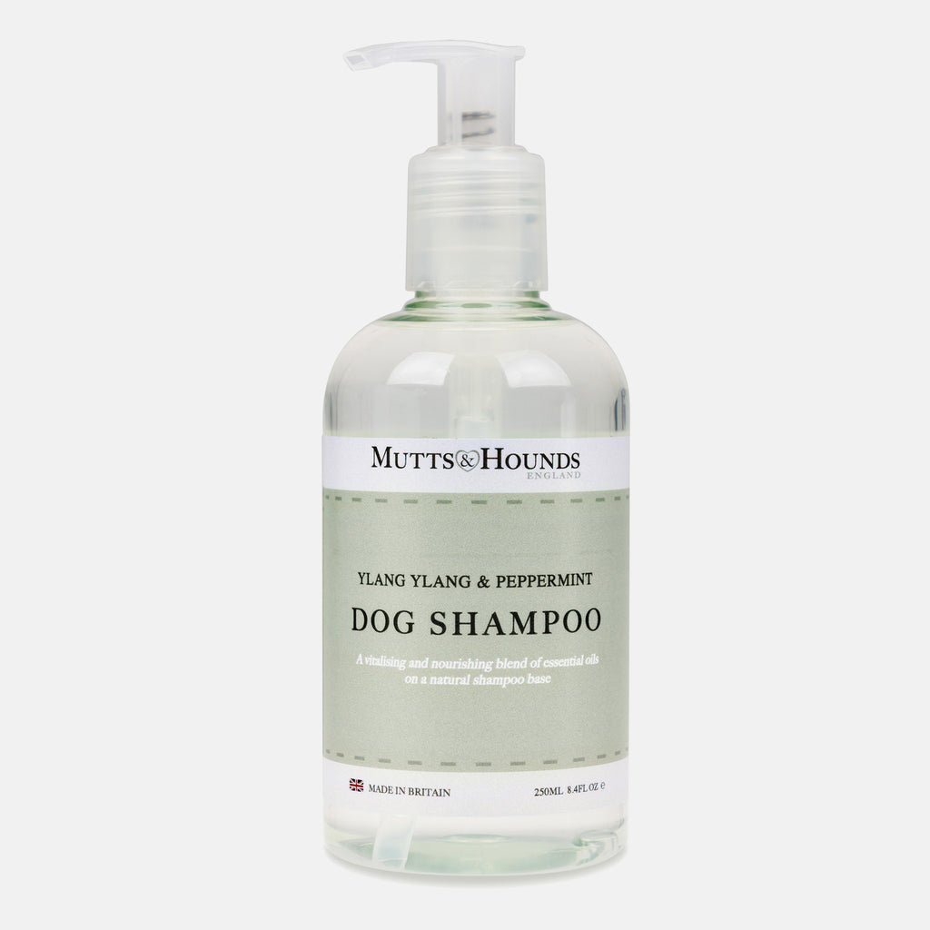 Ylang Ylang & Peppermint Dog Shampoo – Mutts and Hounds