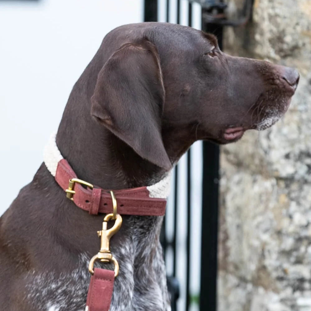 Hugo & Hudson Woven Rope & Brown Suede Leather Dog Collar