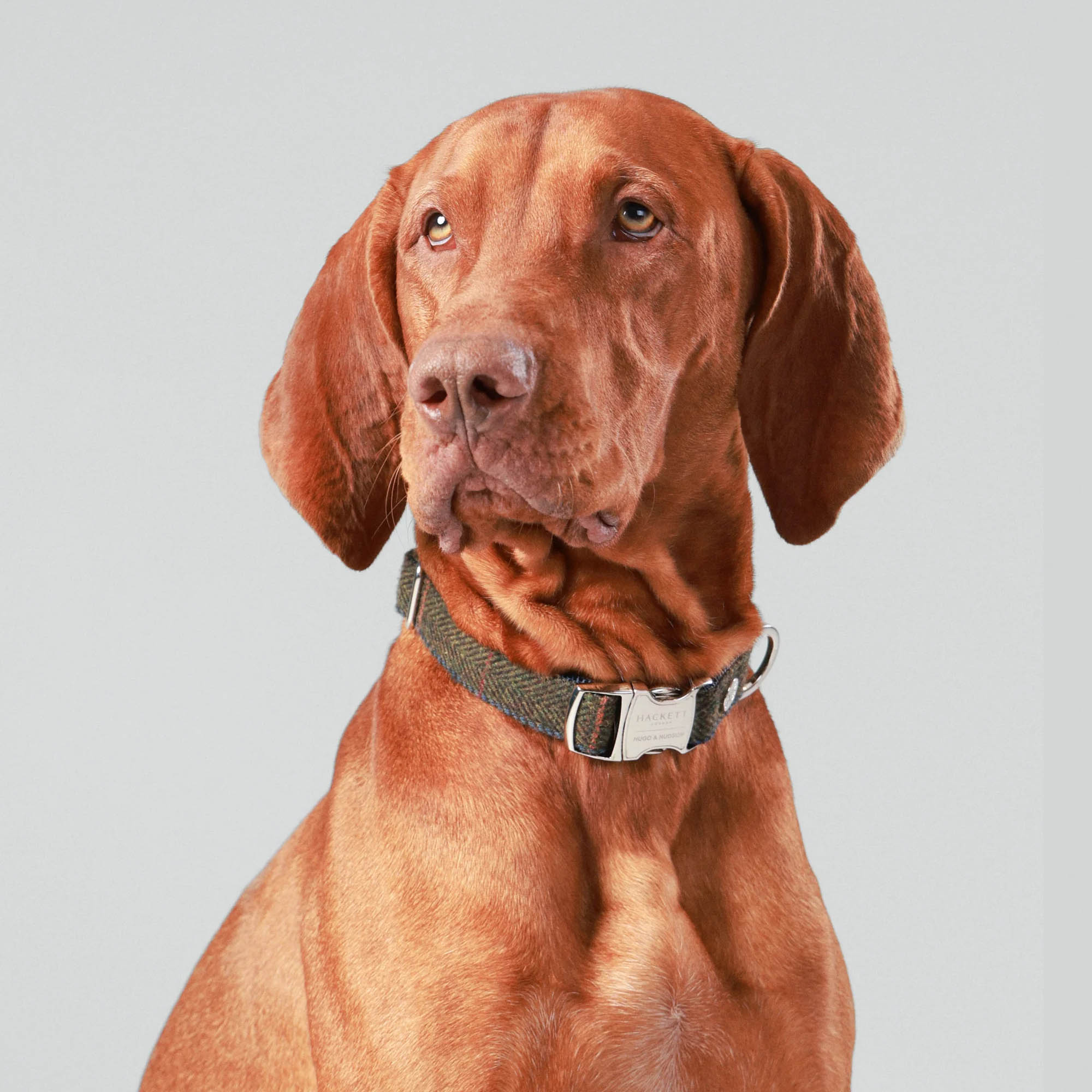 Hugo & Hudson X Hackett Dark Green Checked Herringbone Tweed Dog Collar