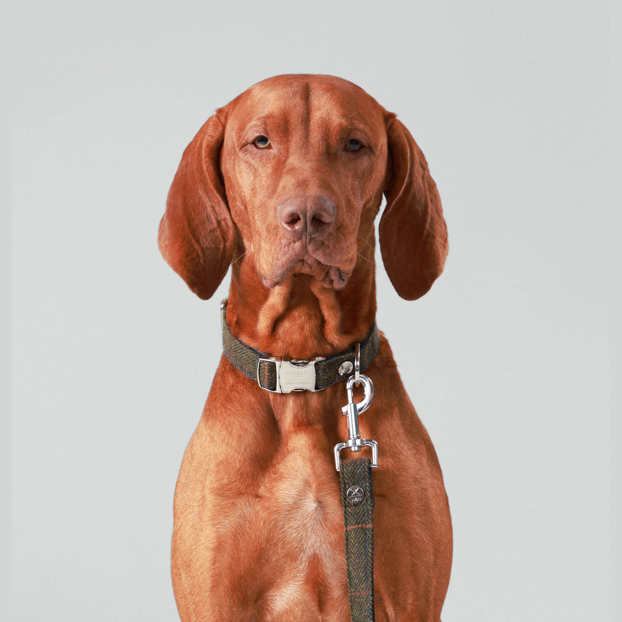 Hugo & Hudson X Hackett Dark Green Checked Herringbone Tweed Dog Lead