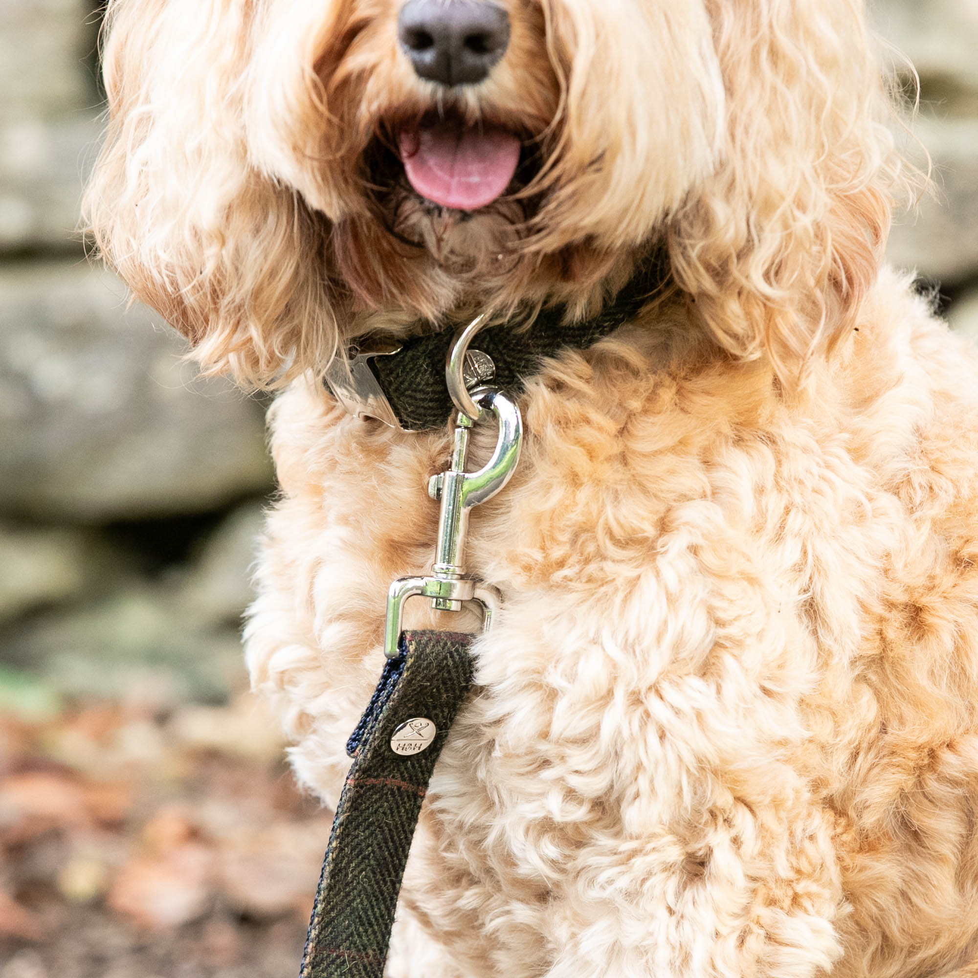 Hugo & Hudson X Hackett Dark Green Checked Herringbone Tweed Dog Collar
