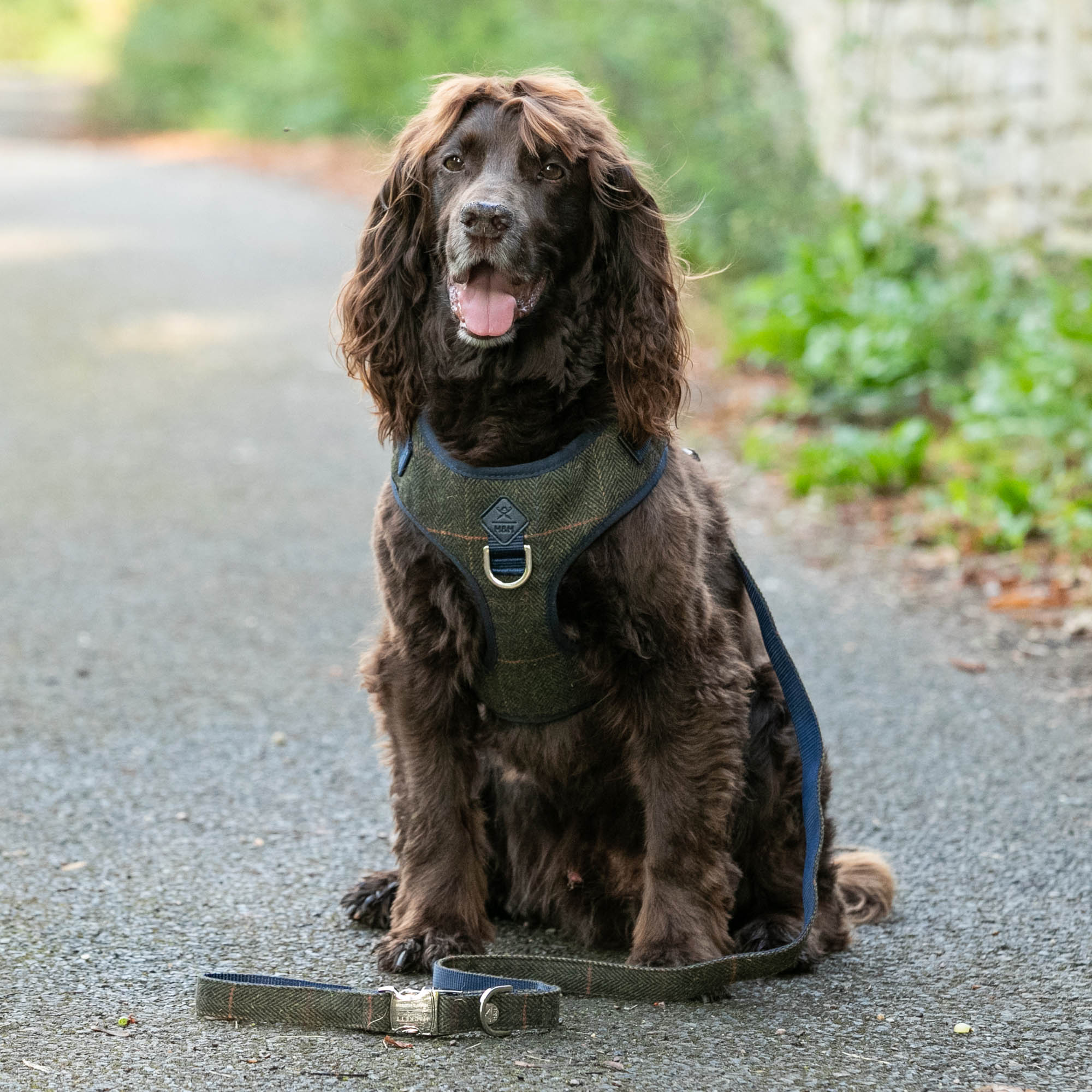 Hugo & Hudson X Hackett Dark Green Checked Herringbone Tweed Dog Harness