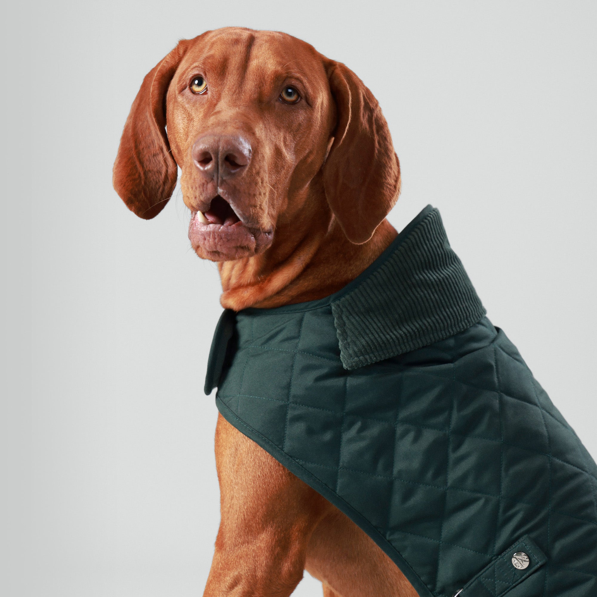 Hugo & Hudson X Hackett Quilted Dog Jacket - Forest Green