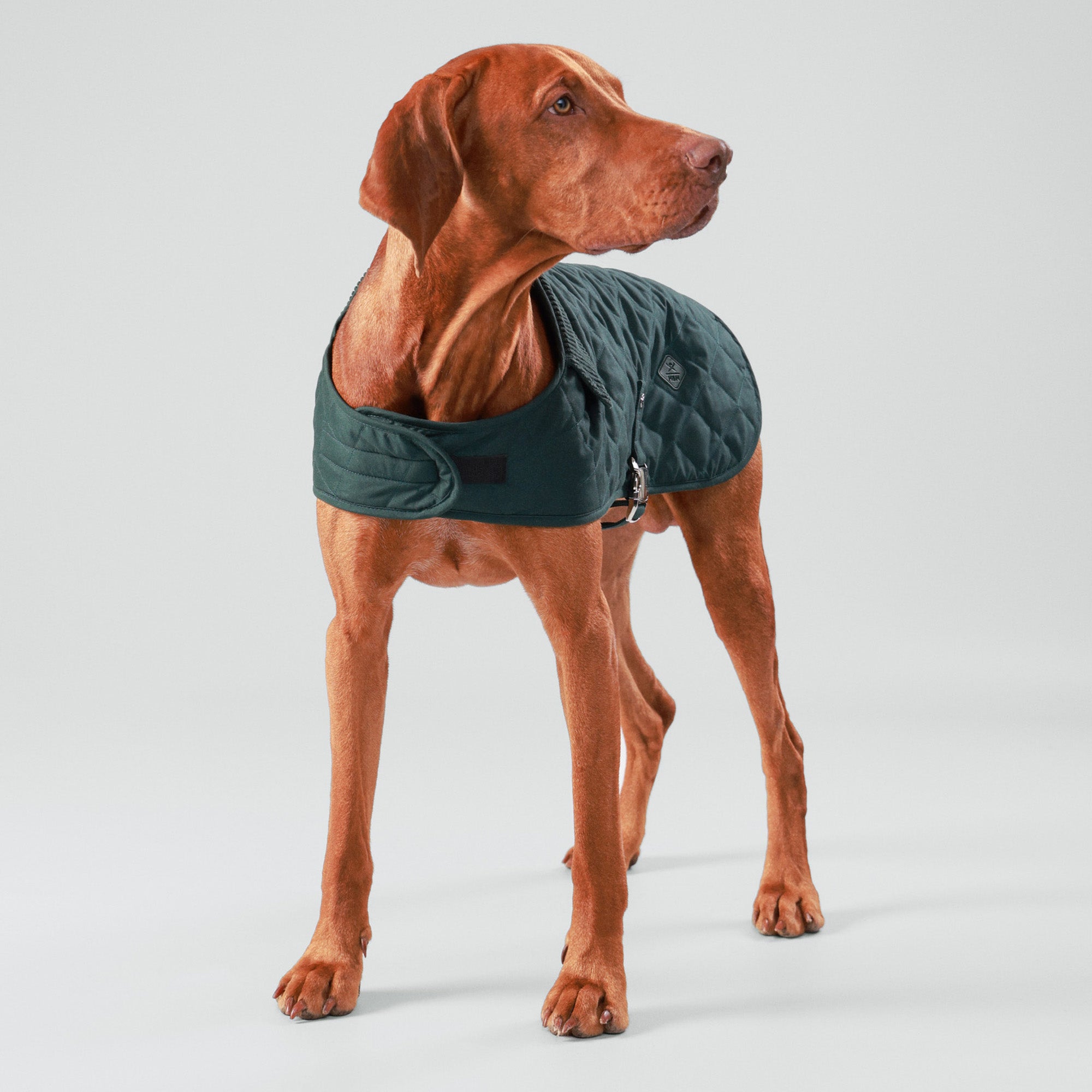 Hugo & Hudson X Hackett Quilted Dog Jacket - Forest Green