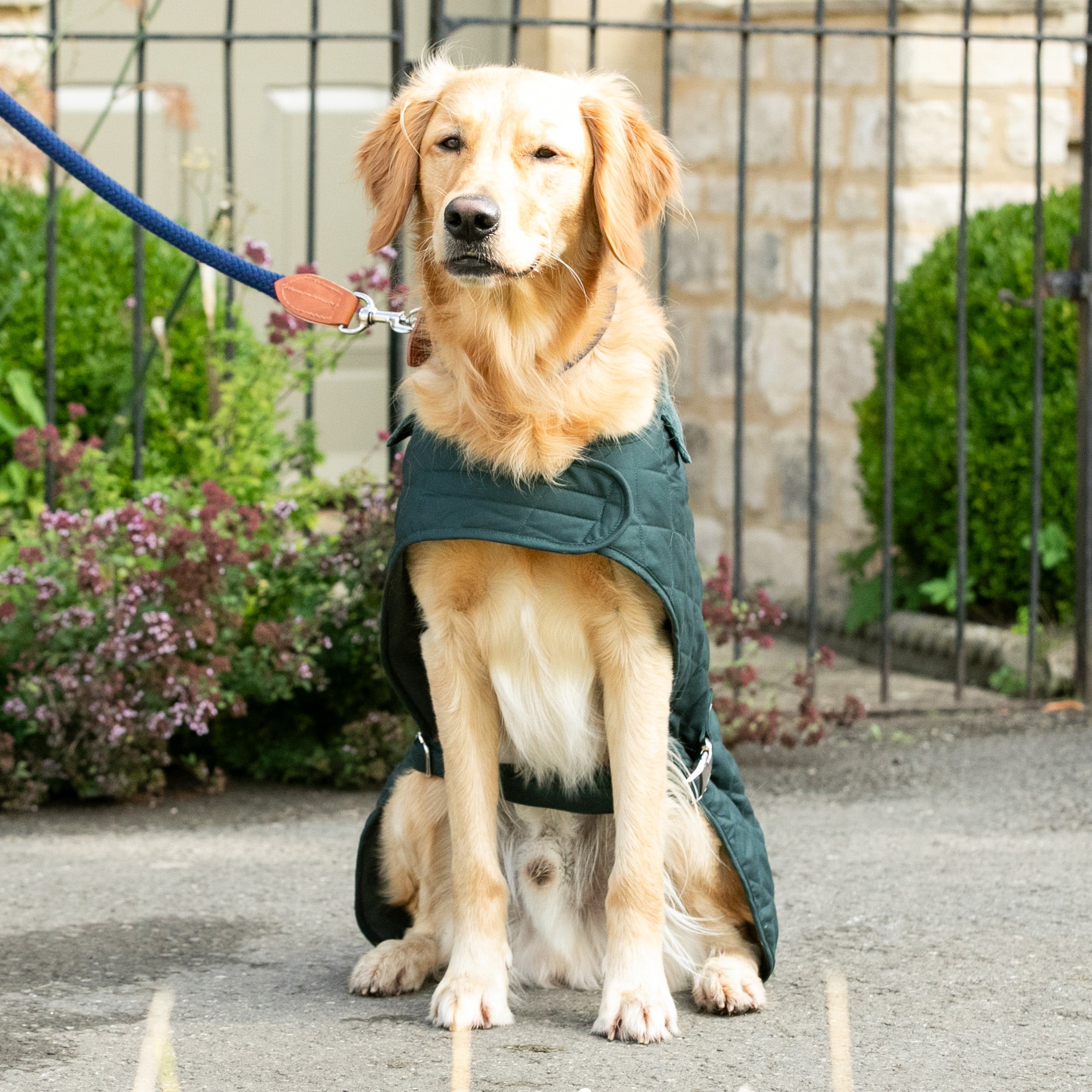 Hugo & Hudson X Hackett Quilted Dog Jacket - Forest Green