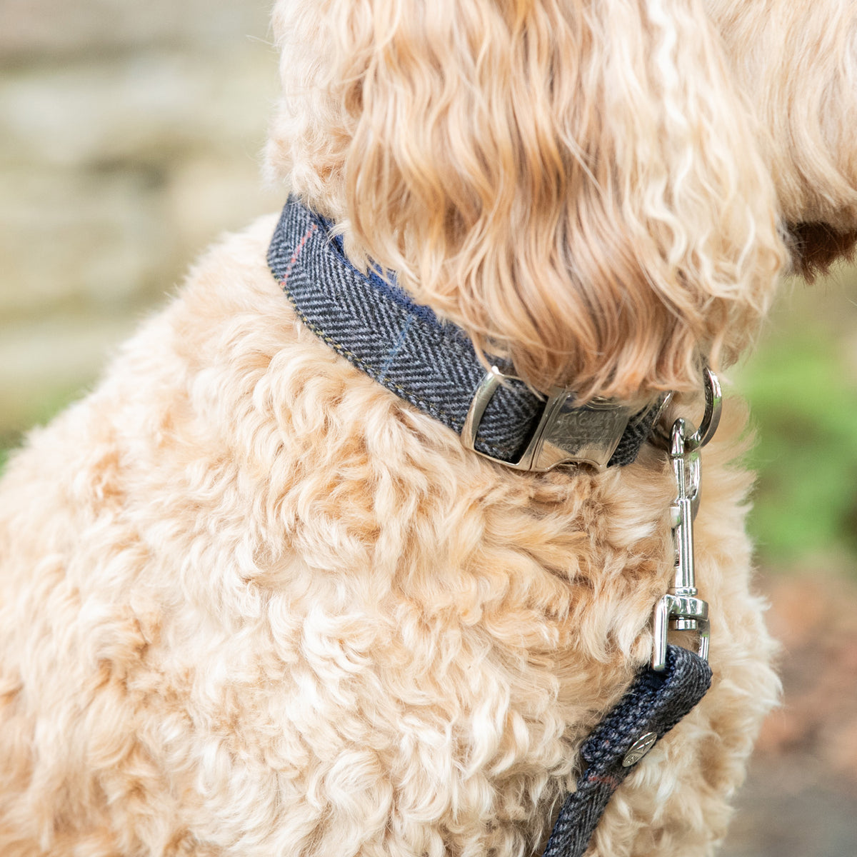 Hugo & Hudson X Hackett Grey Checked Herringbone Tweed Dog Collar