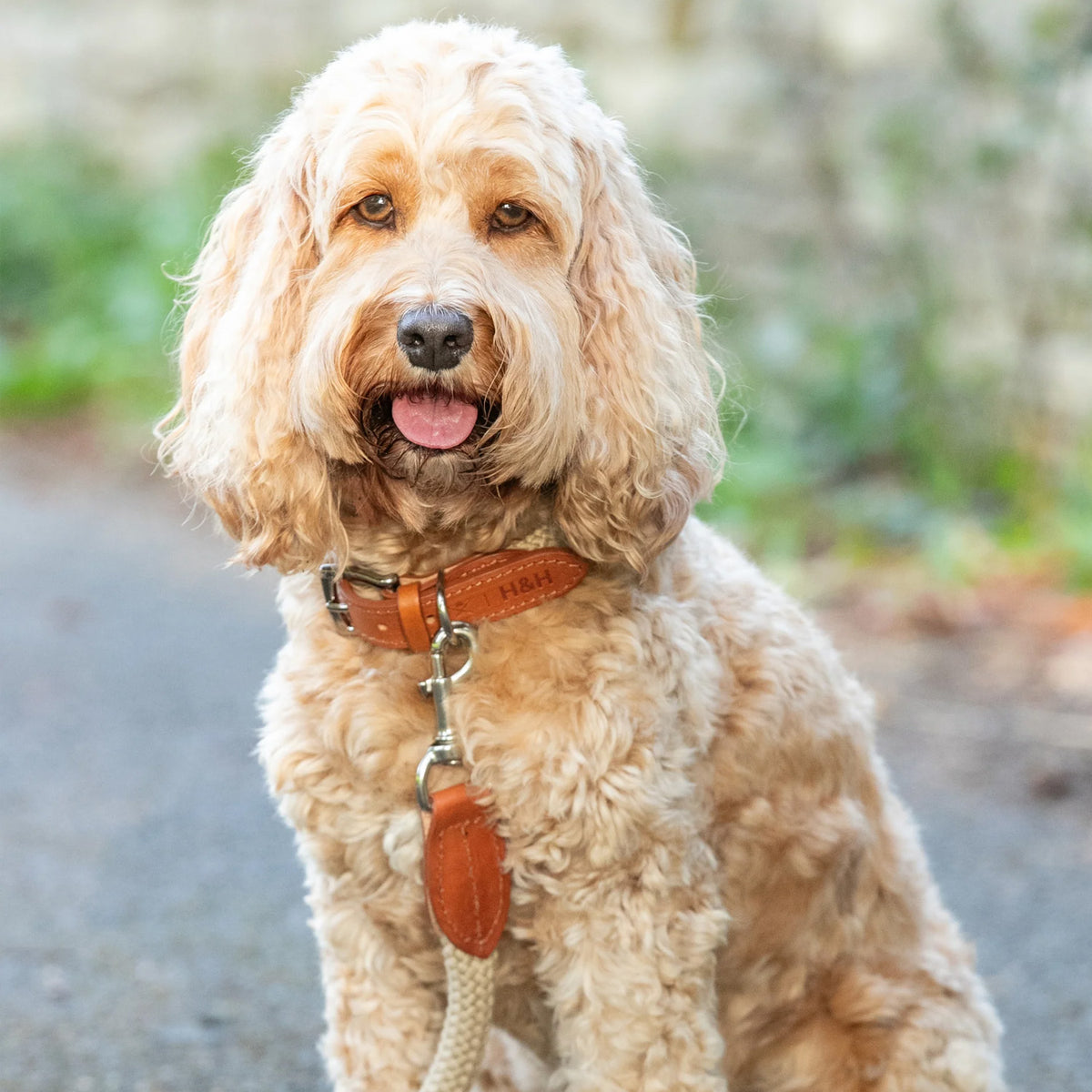 Hugo & Hudson X Hackett Natural Round Rope & Cognac Leather Dog Lead