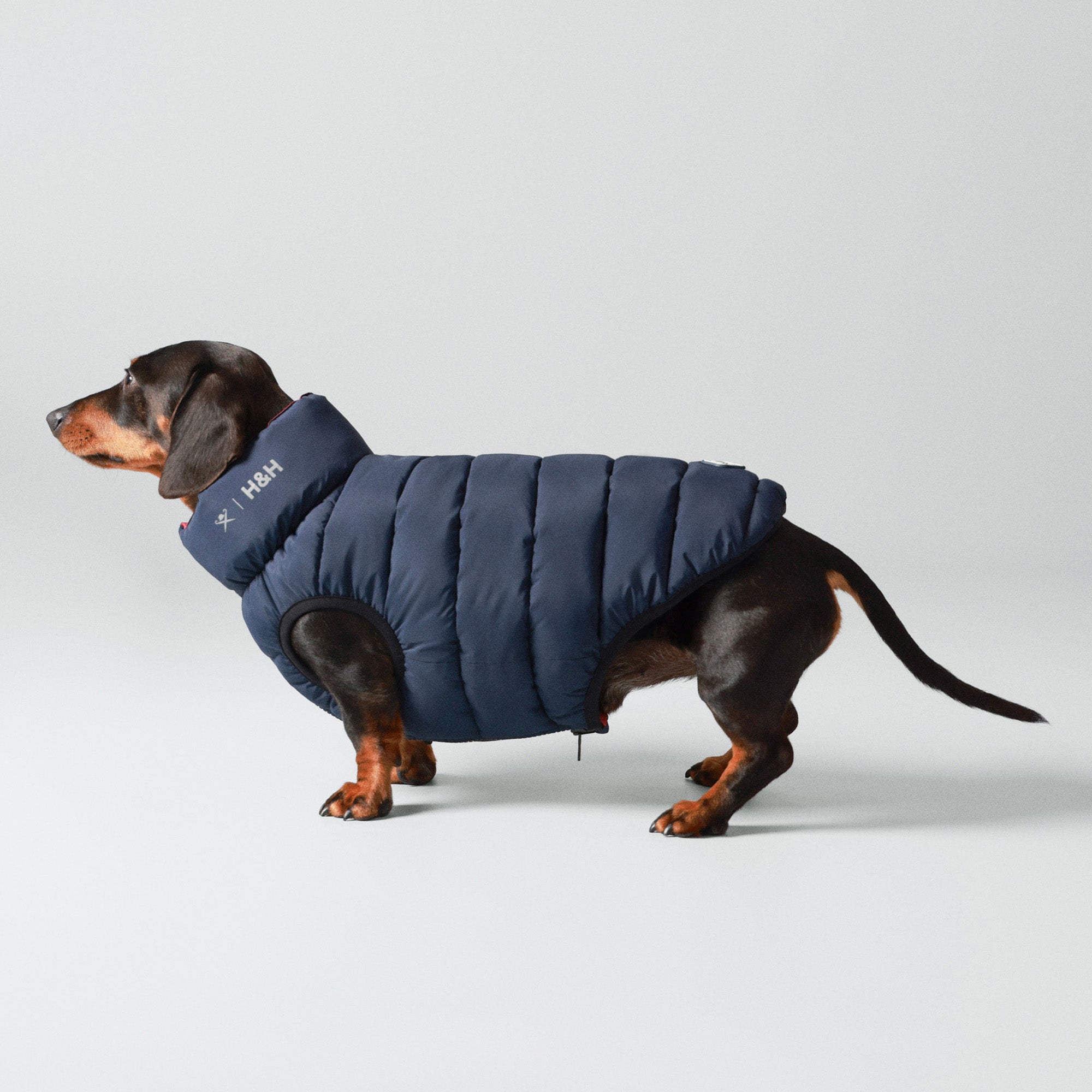 Hugo & Hudson X Hackett Reversible Dog Puffer Jacket - Navy & Berry