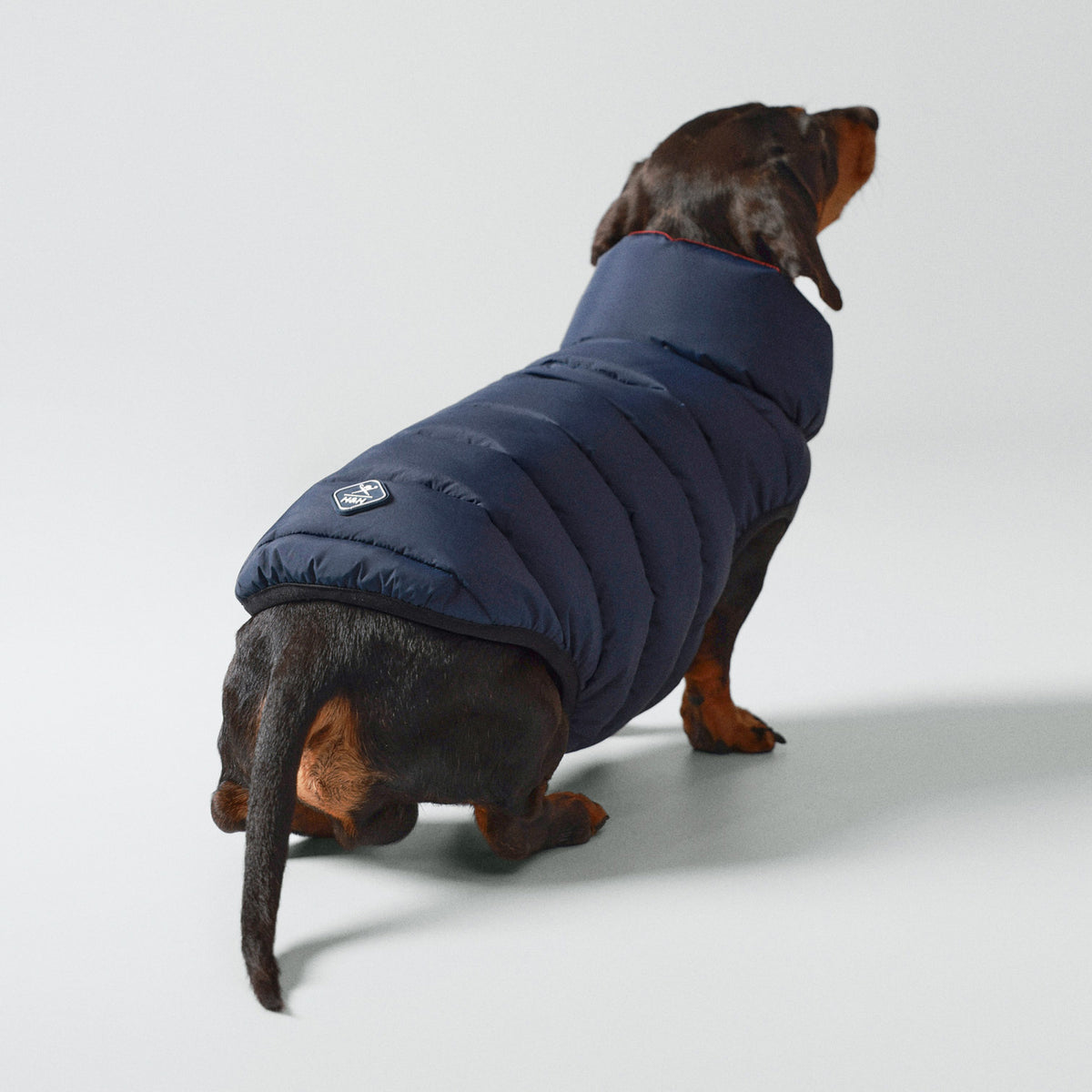 Hugo & Hudson X Hackett Reversible Dog Puffer Jacket - Navy & Berry