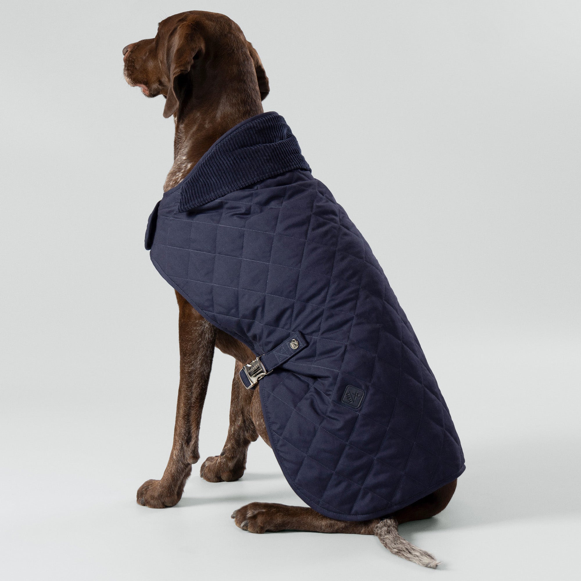 Hugo & Hudson X Hackett Quilted Dog Jacket - Navy
