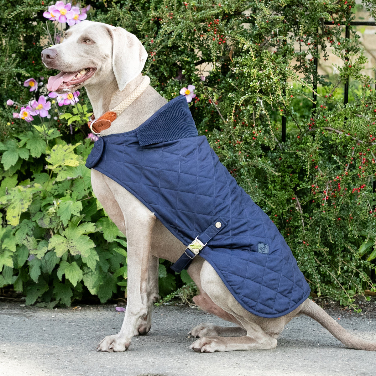 Hugo & Hudson X Hackett Quilted Dog Jacket - Navy