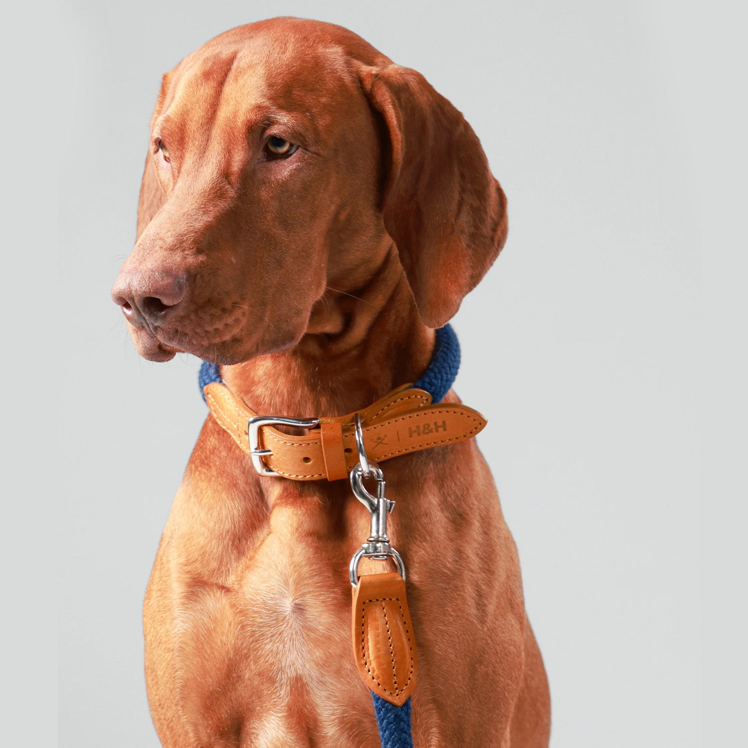 Hugo & Hudson X Hackett Navy Round Rope & Cognac Leather Dog Lead