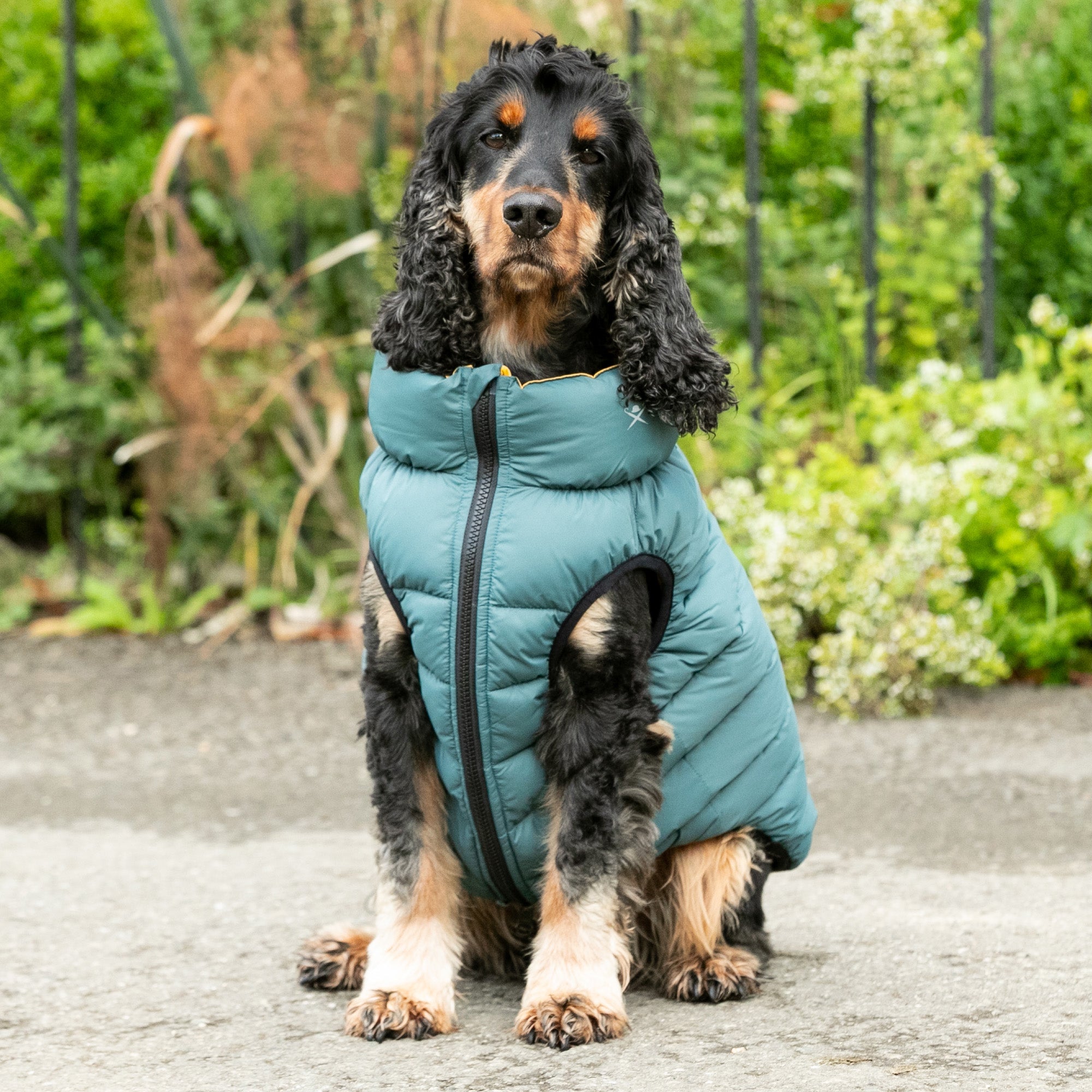 Hugo & Hudson X Hackett Reversible Dog Puffer Jacket - Forest Green & Gold