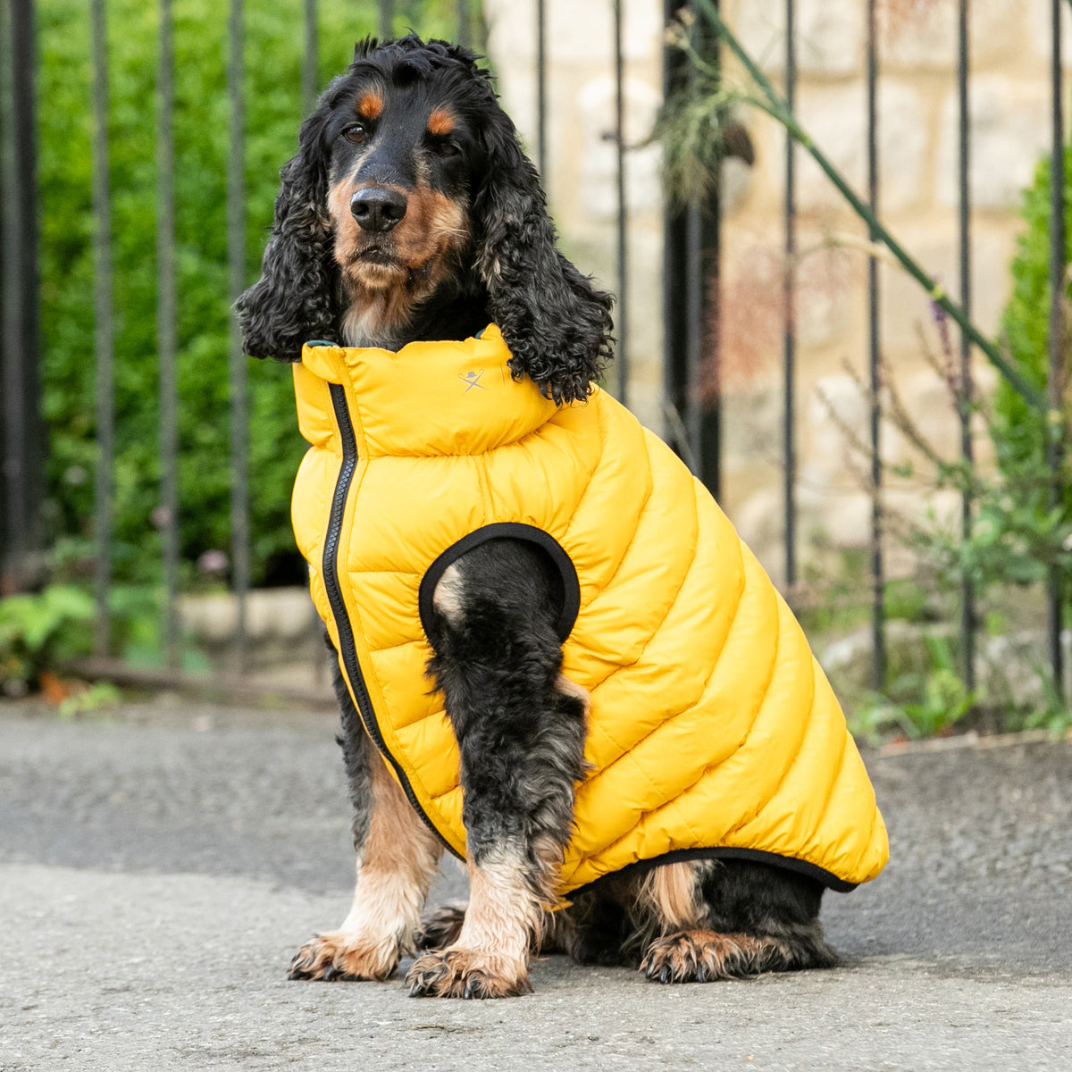 Hugo & Hudson X Hackett Reversible Dog Puffer Jacket - Forest Green & Gold