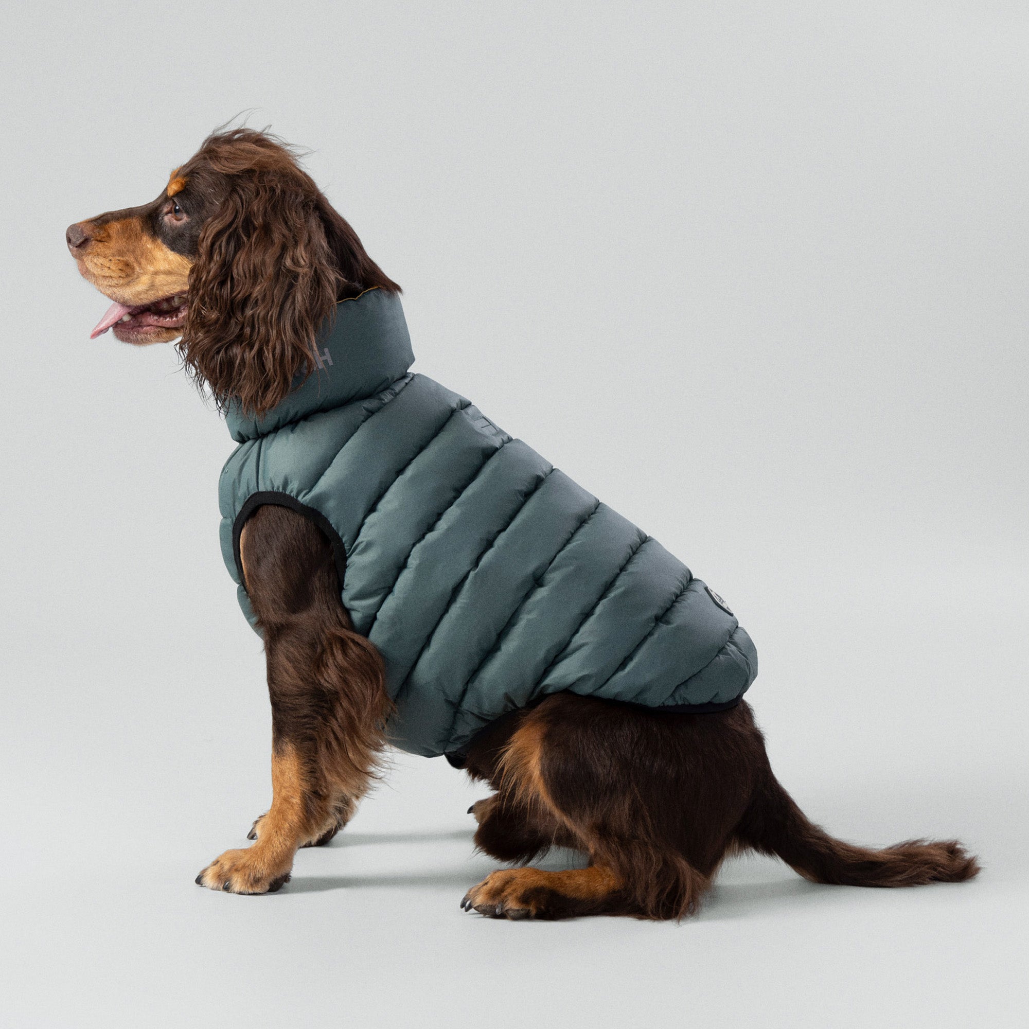 Hugo & Hudson X Hackett Reversible Dog Puffer Jacket - Forest Green & Gold