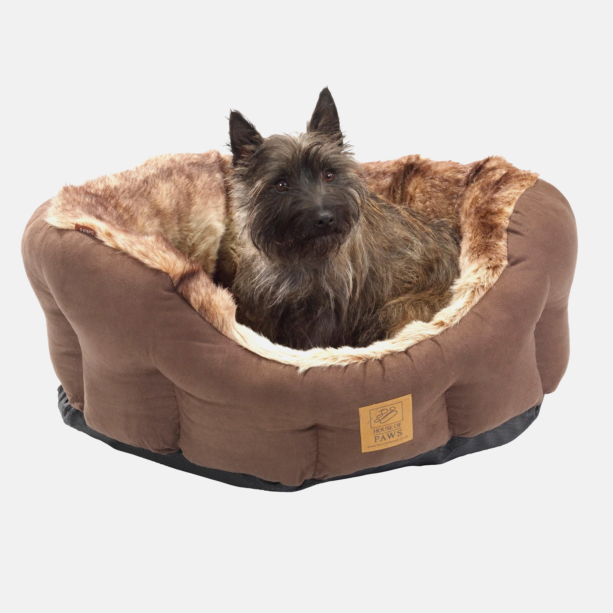 House of Paws Arctic Fox Snuggle Dog Bed