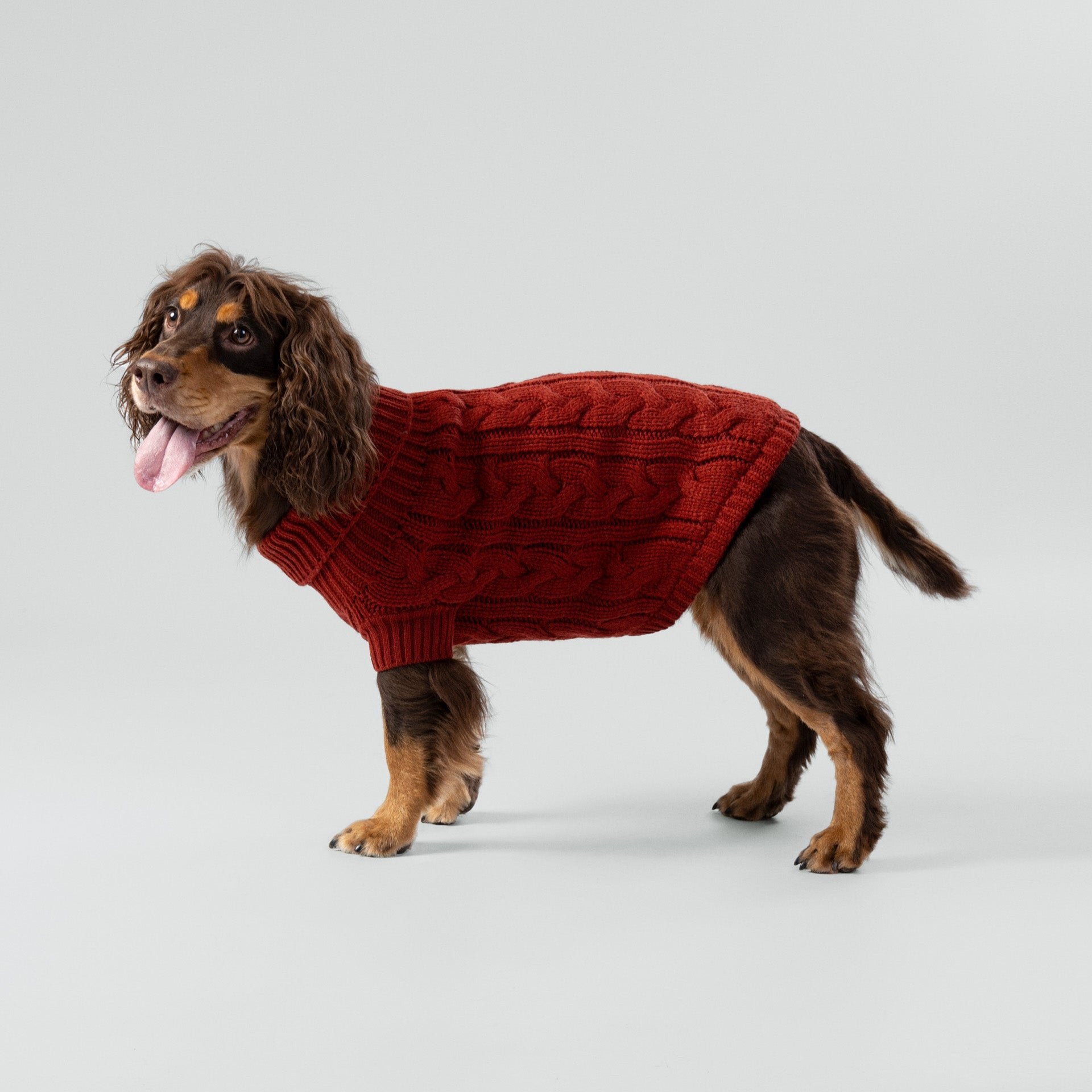 Hugo & Hudson X Hackett Cable Knit Pullover Dog Jumper - Brick