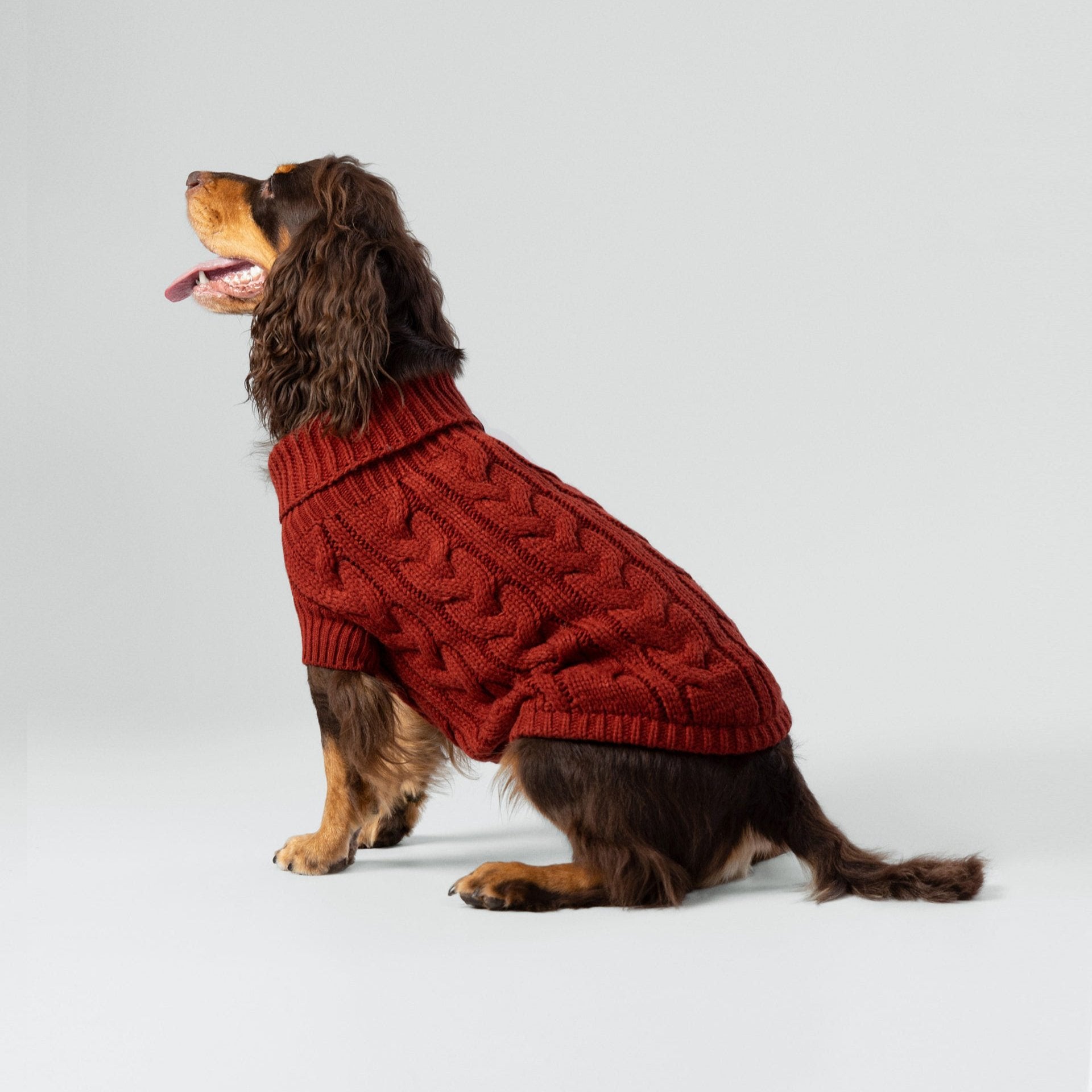Hugo & Hudson X Hackett Cable Knit Pullover Dog Jumper - Brick