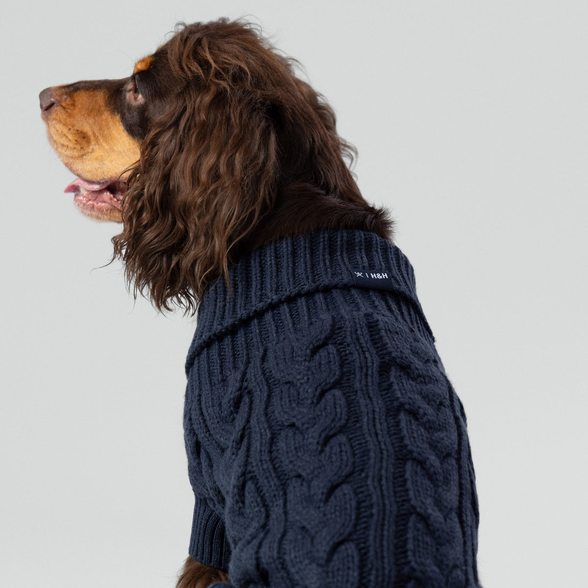 Hugo & Hudson X Hackett Cable Knit Pullover Dog Jumper - Navy