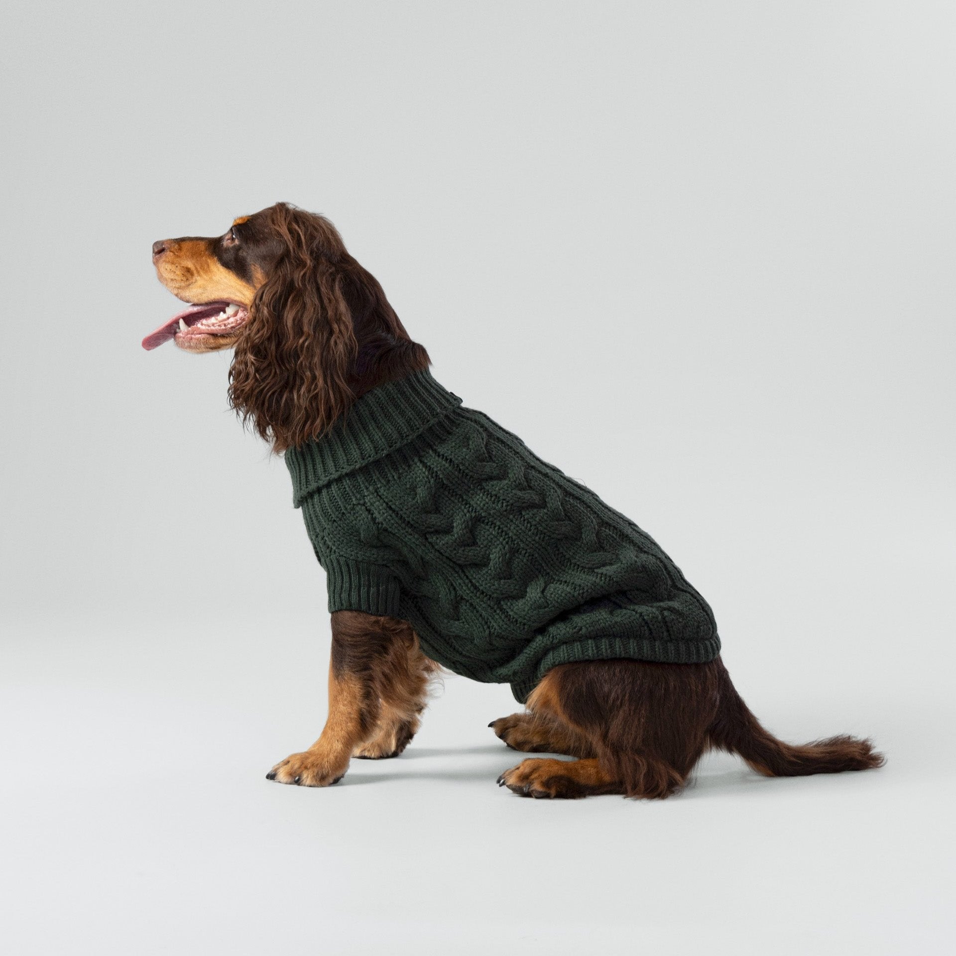 Hugo & Hudson X Hackett Cable Knit Pullover Dog Jumper - Green
