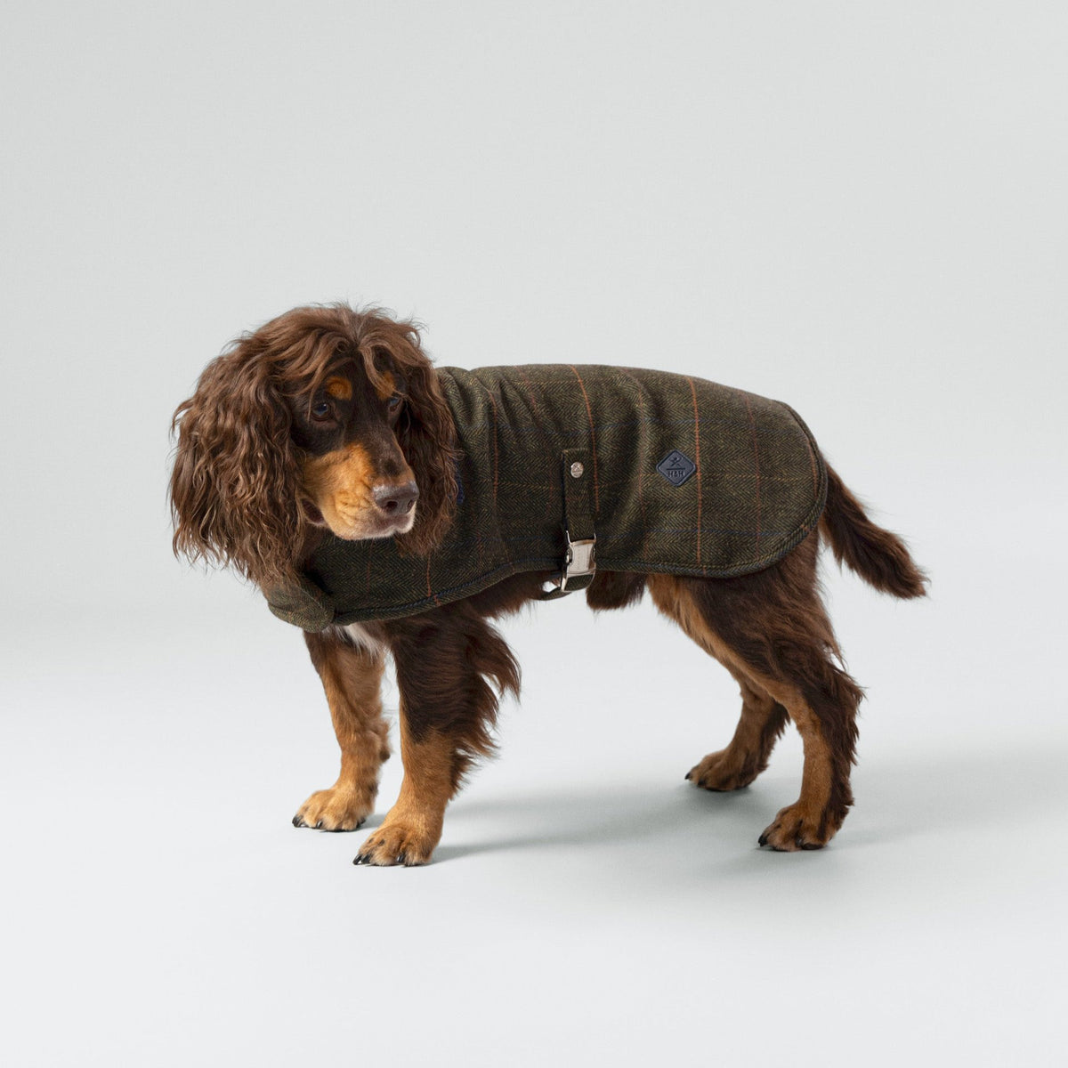 Hugo & Hudson X Hackett Dark Green Checked Herringbone Tweed Dog Jacket