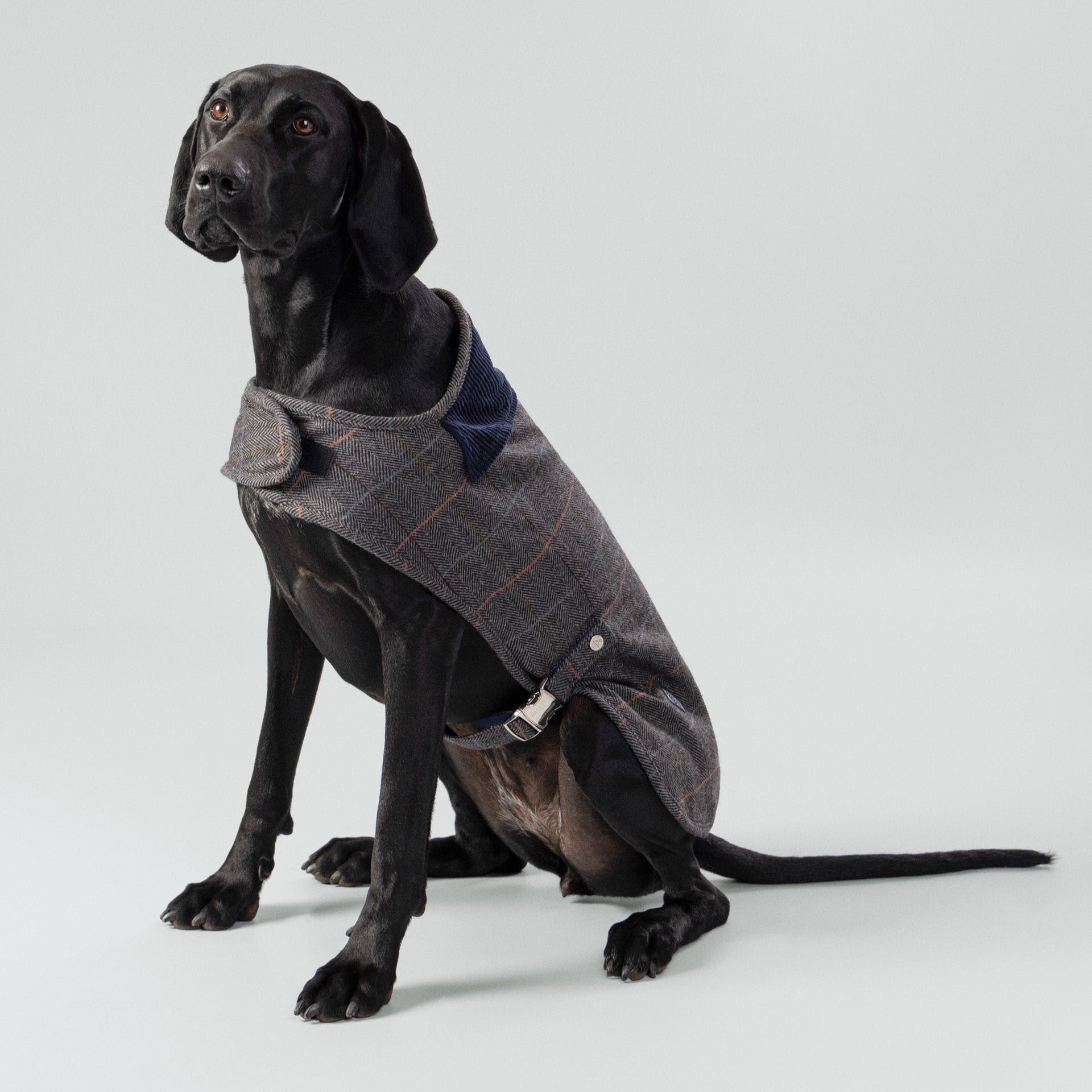 Hugo & Hudson X Hackett Grey Checked Herringbone Tweed Dog Jacket