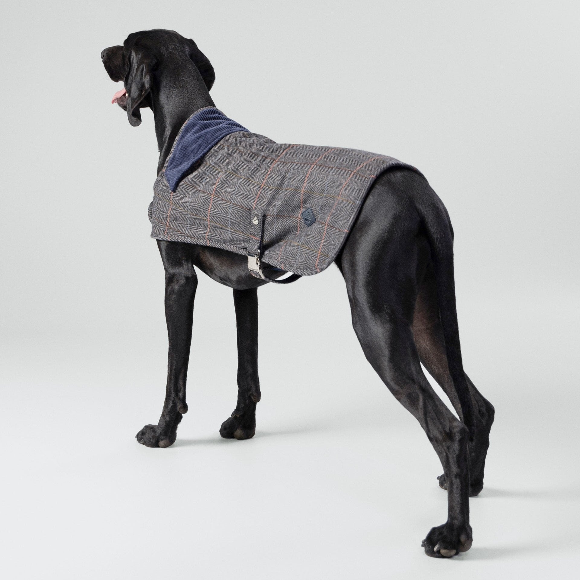 Hugo & Hudson X Hackett Grey Checked Herringbone Tweed Dog Jacket