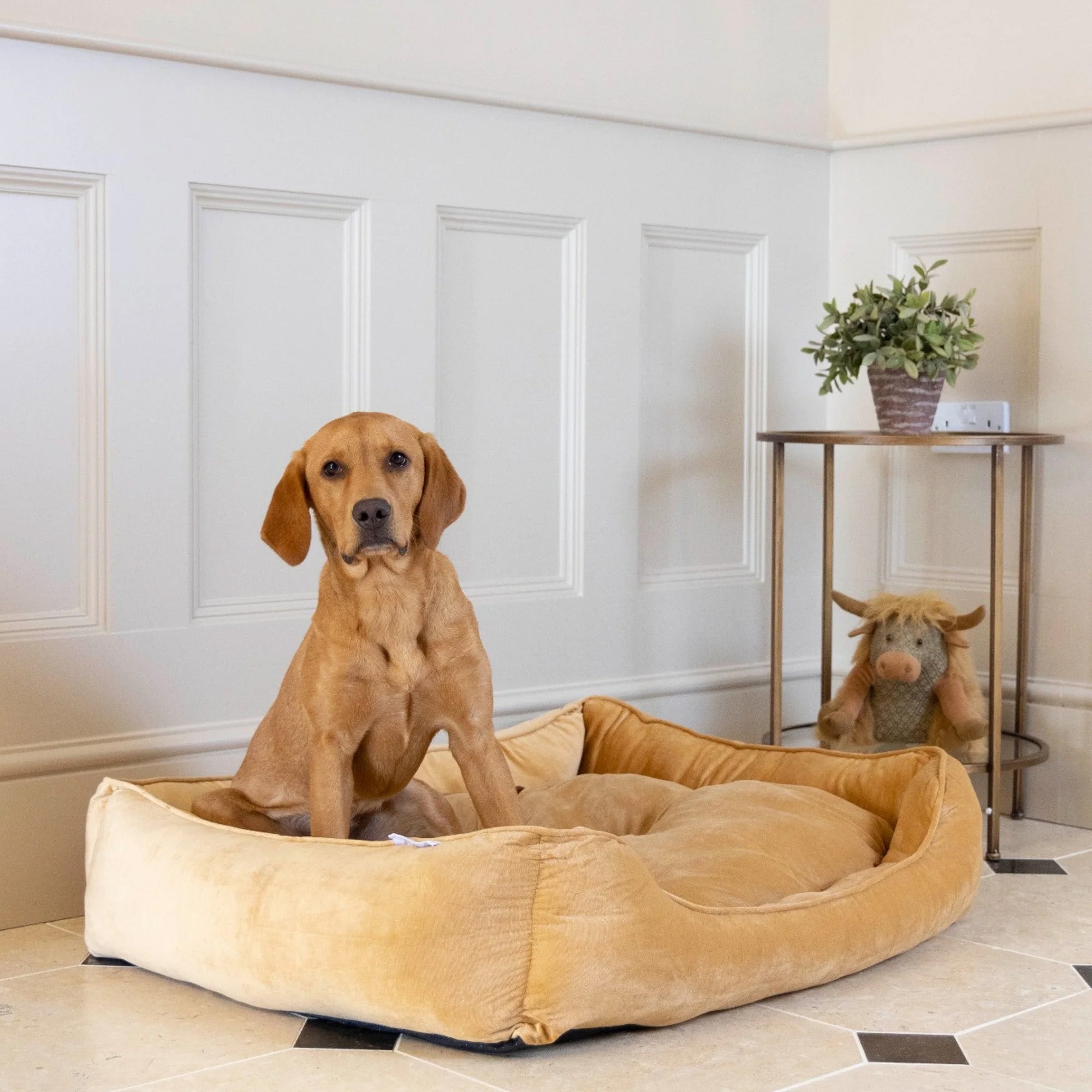 House Of Paws Mustard Velvet Rectangle Dog Bed