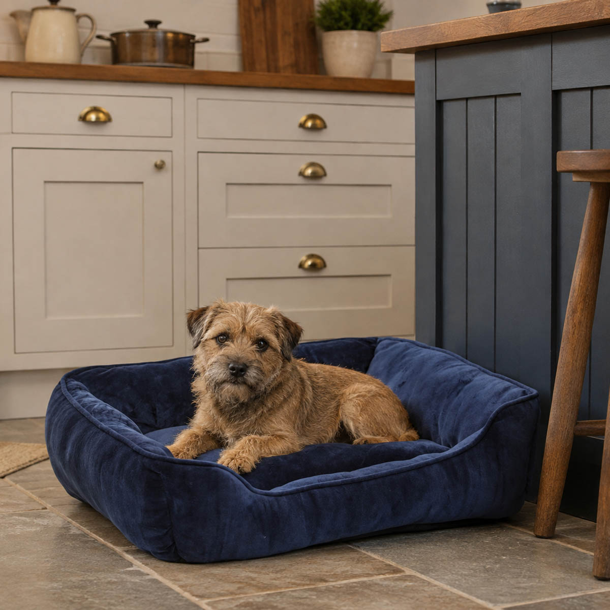 House Of Paws Navy Velvet Rectangle Dog Bed