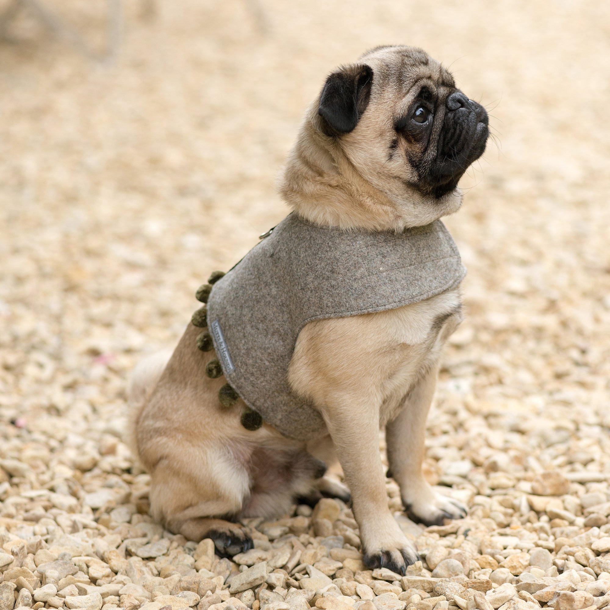 Grey Tweed Soft Dog Harness with Olive Pom Poms