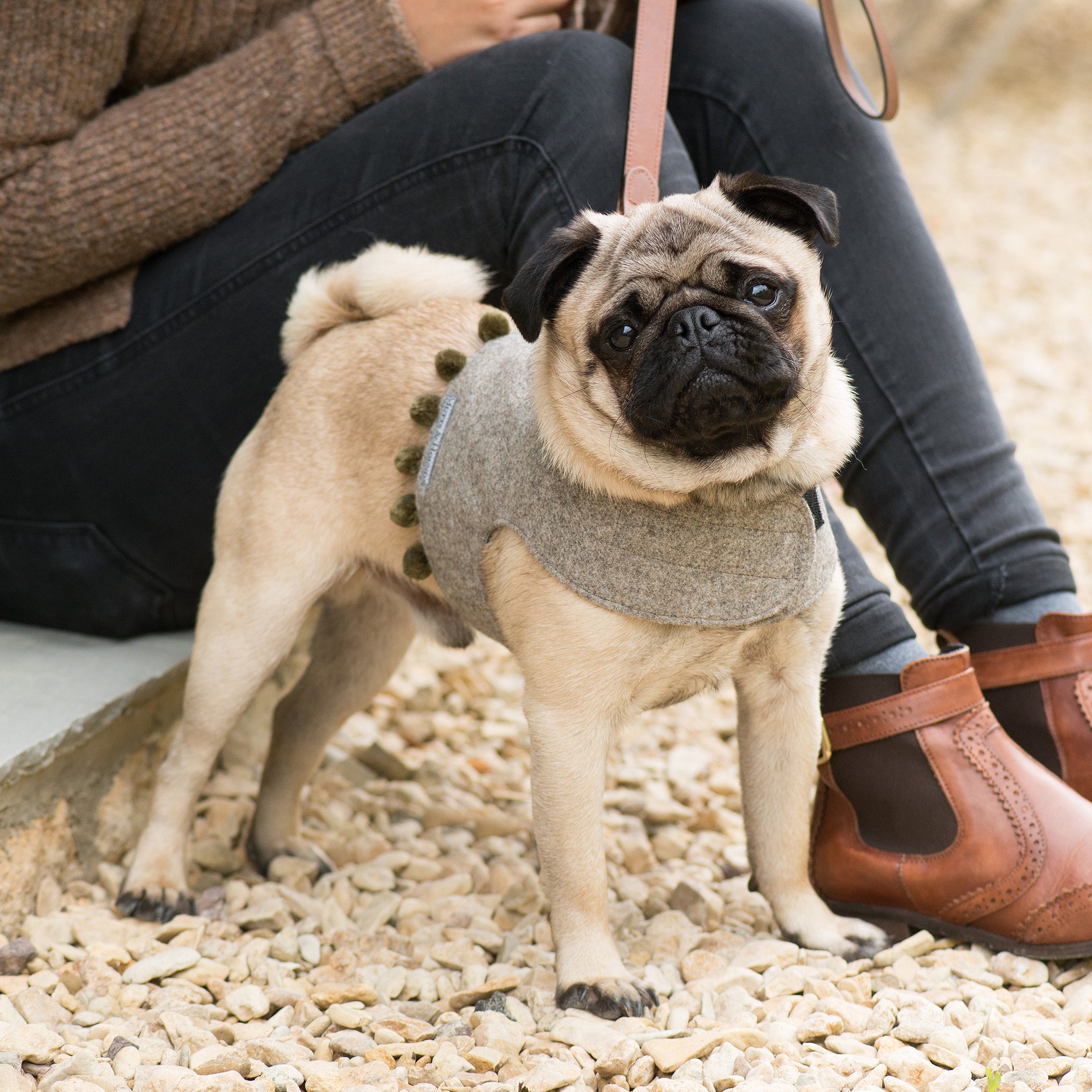 Grey Tweed Soft Dog Harness with Olive Pom Poms
