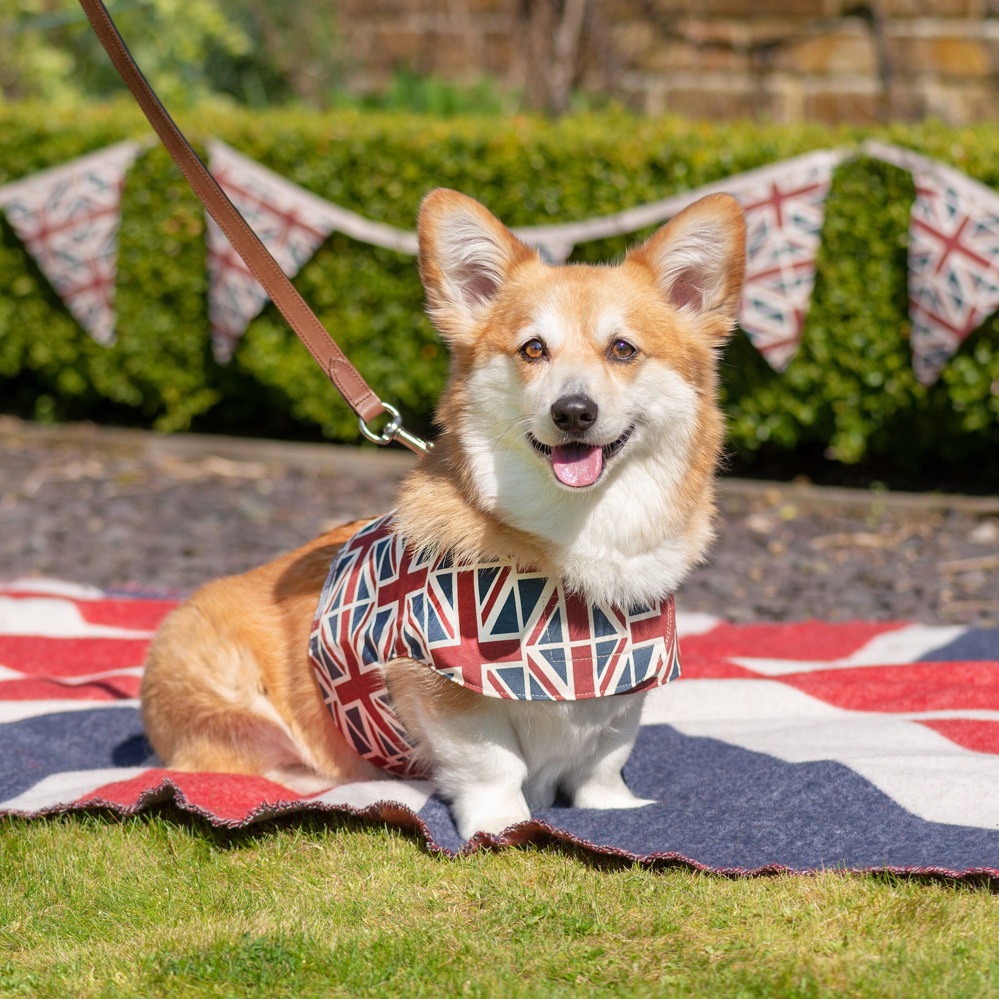 Union Jack Soft Dog Harness