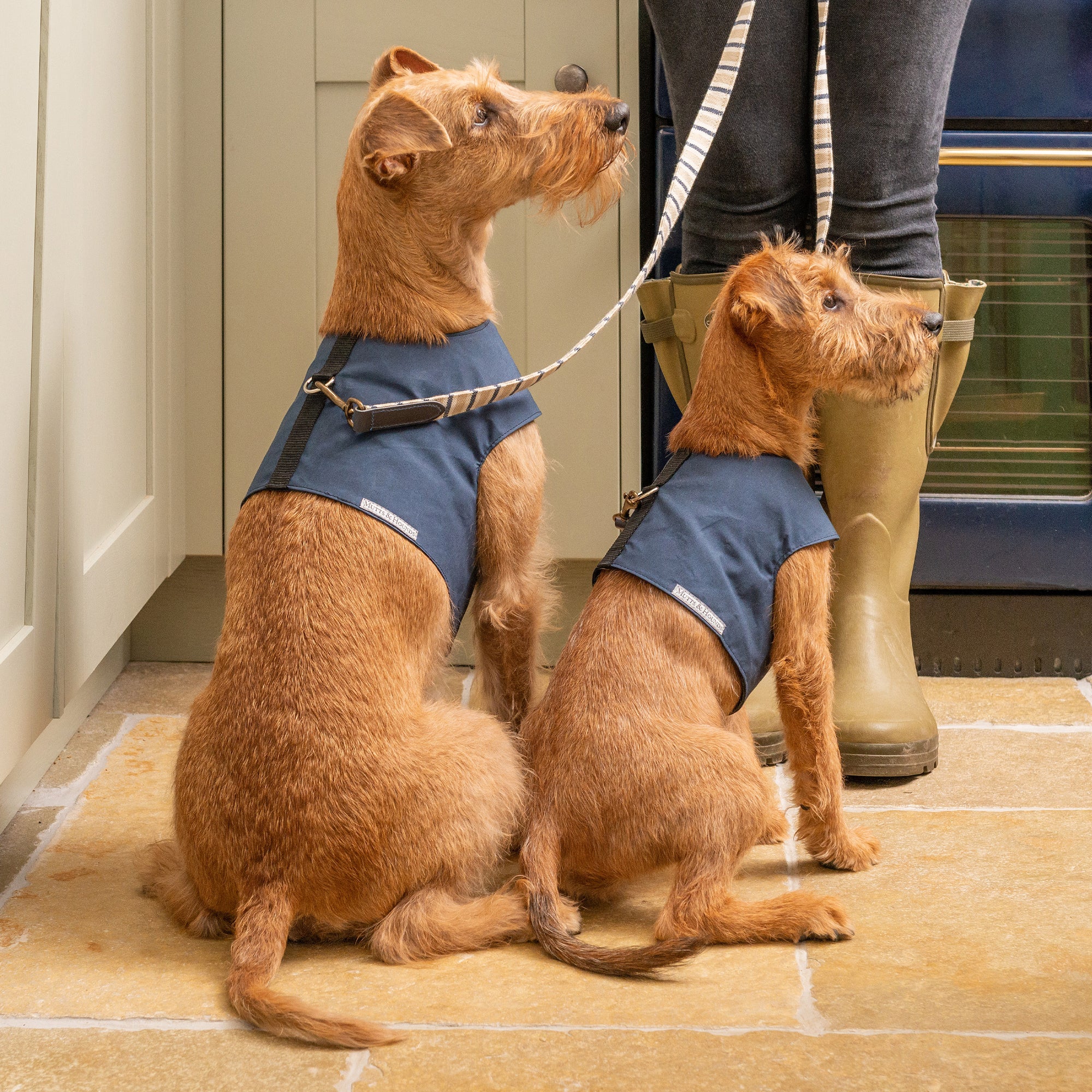 Navy Wax Dog Harness
