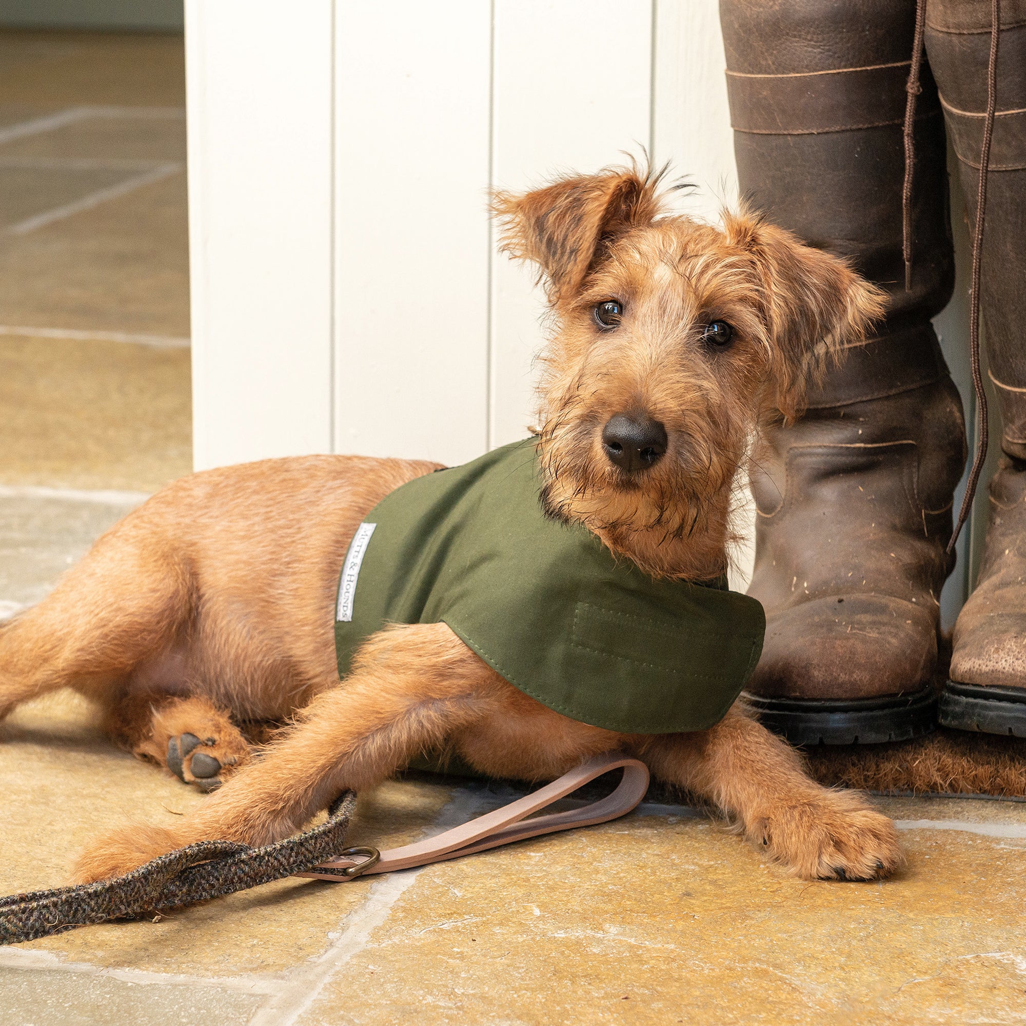 Olive Wax Dog Harness