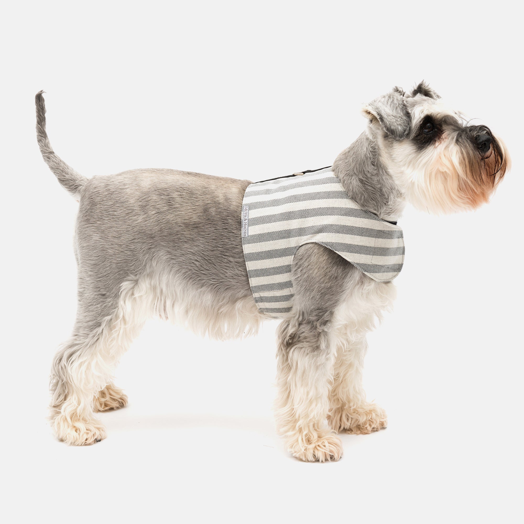 Flint Stripe Brushed Cotton Soft Dog Harness