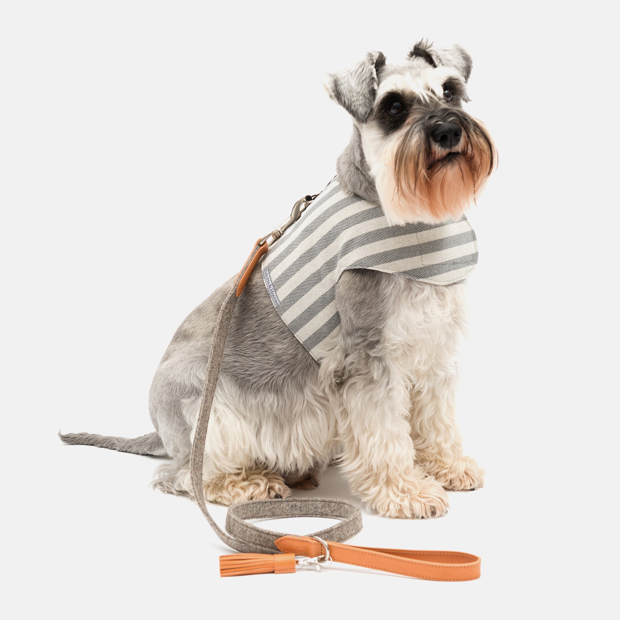 Flint Stripe Brushed Cotton Soft Dog Harness