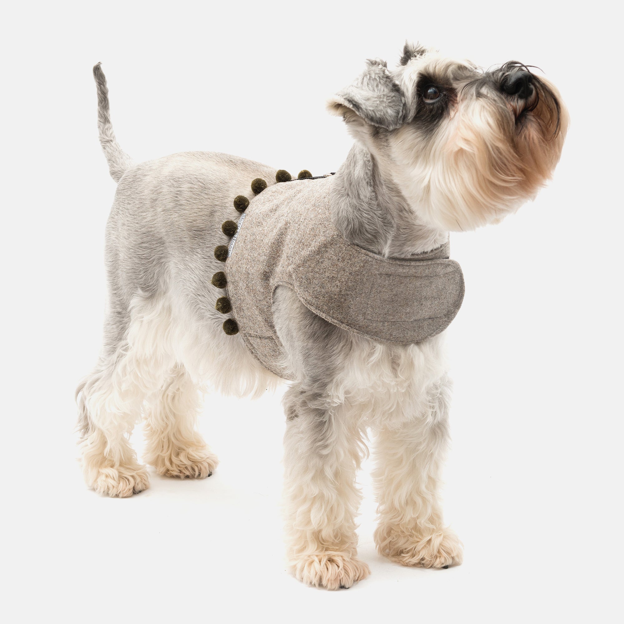 Grey Tweed Soft Dog Harness with Olive Pom Poms
