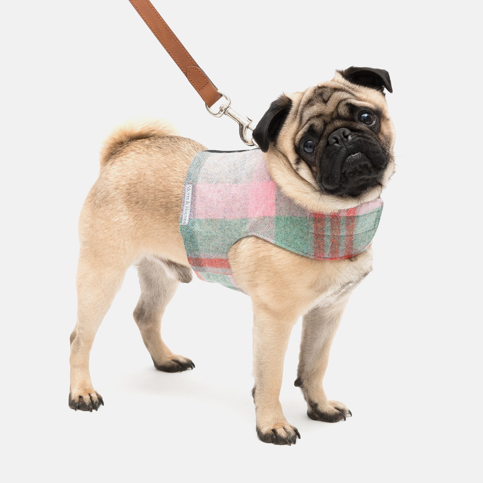 Macaroon Check Tweed Soft Dog Harness