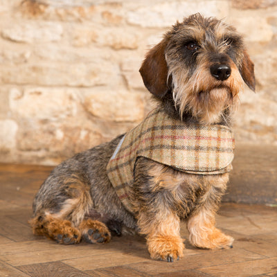 Balmoral Check Tweed Soft Dog Harness