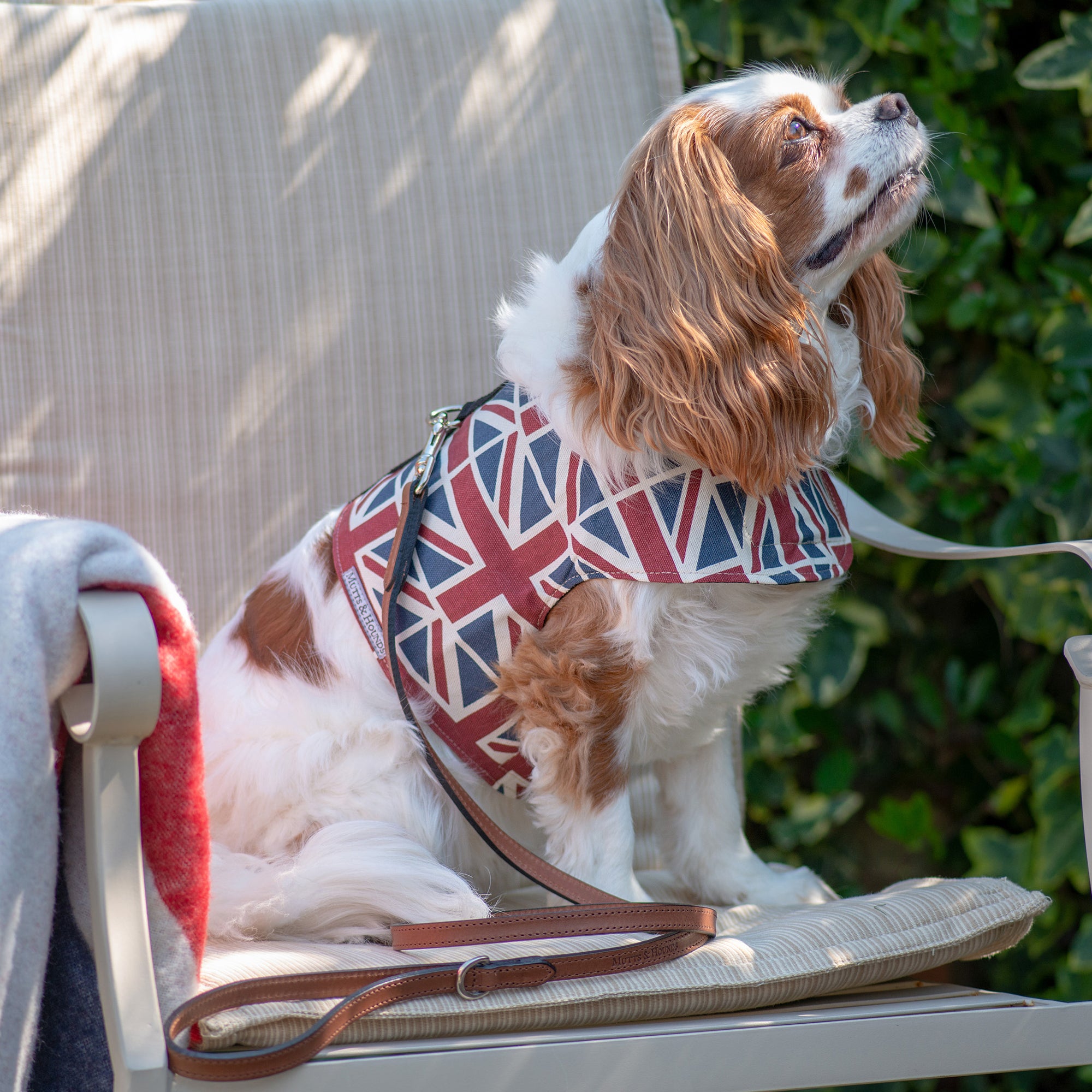 Union Jack Soft Dog Harness