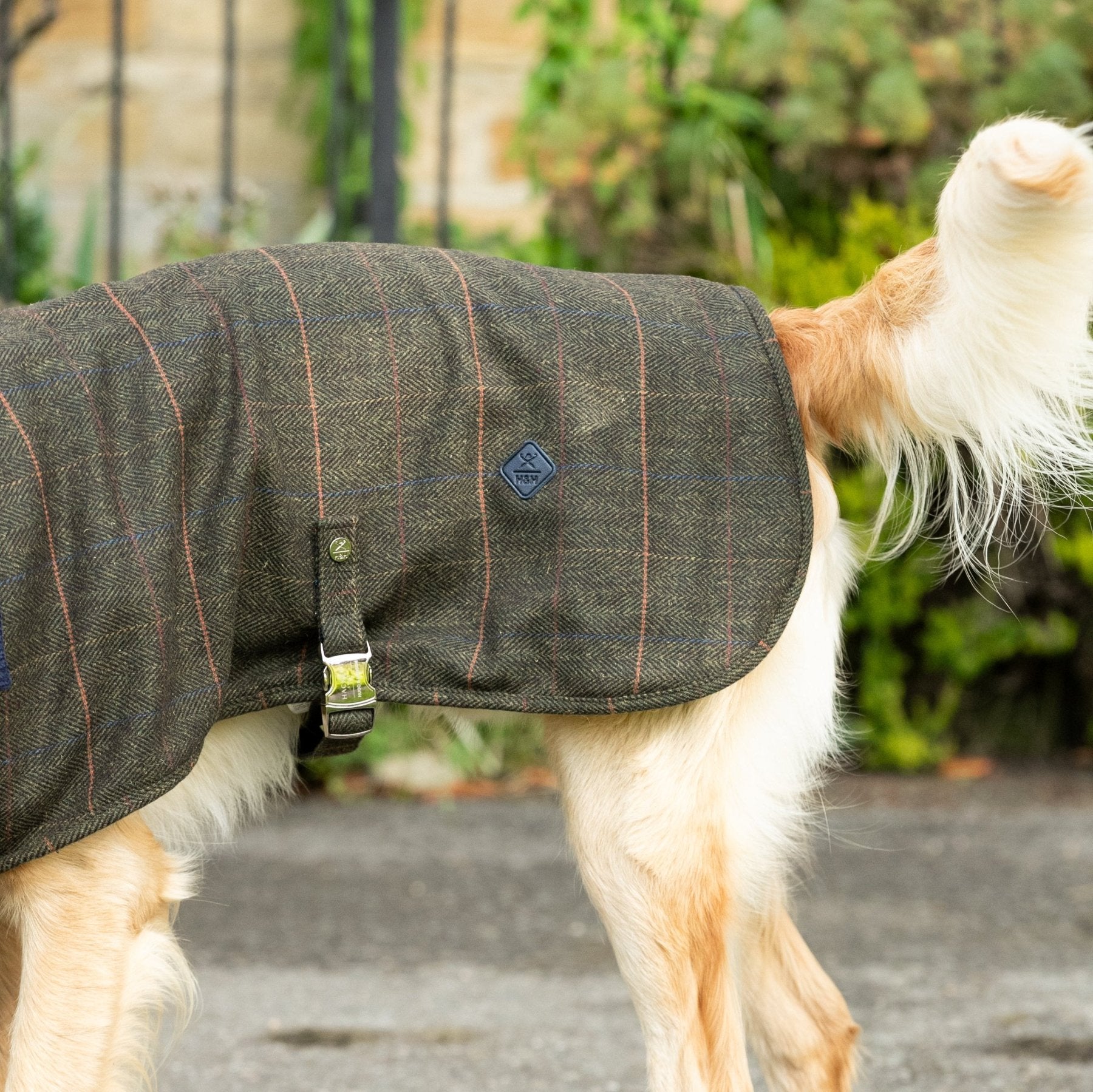 Hugo & Hudson X Hackett Dark Green Checked Herringbone Tweed Dog Jacket